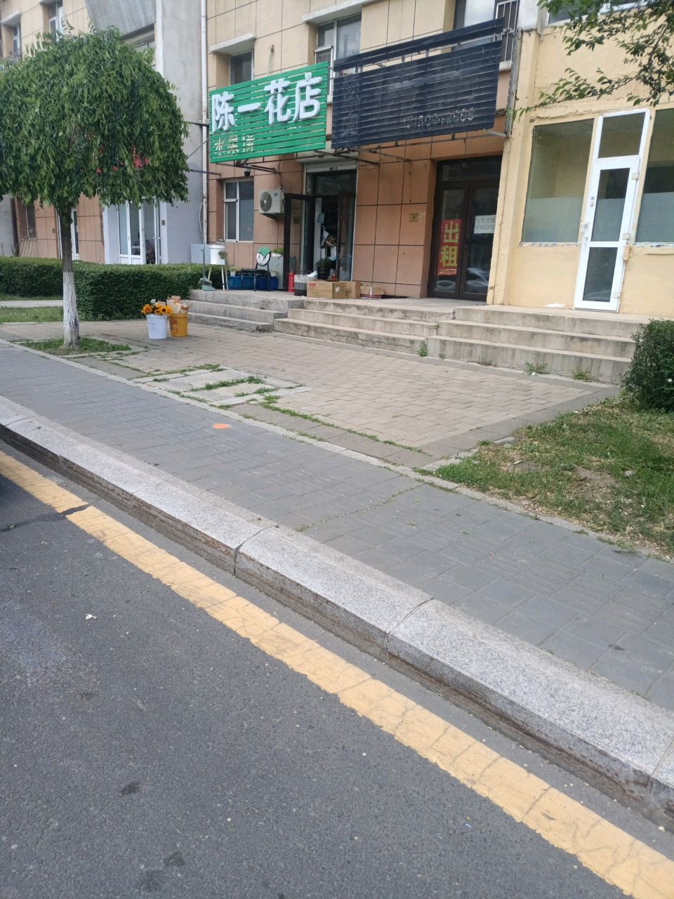 陈一花店