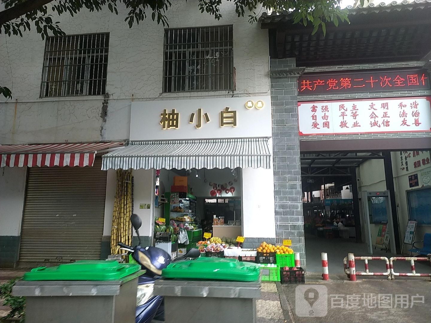 柚小白果品