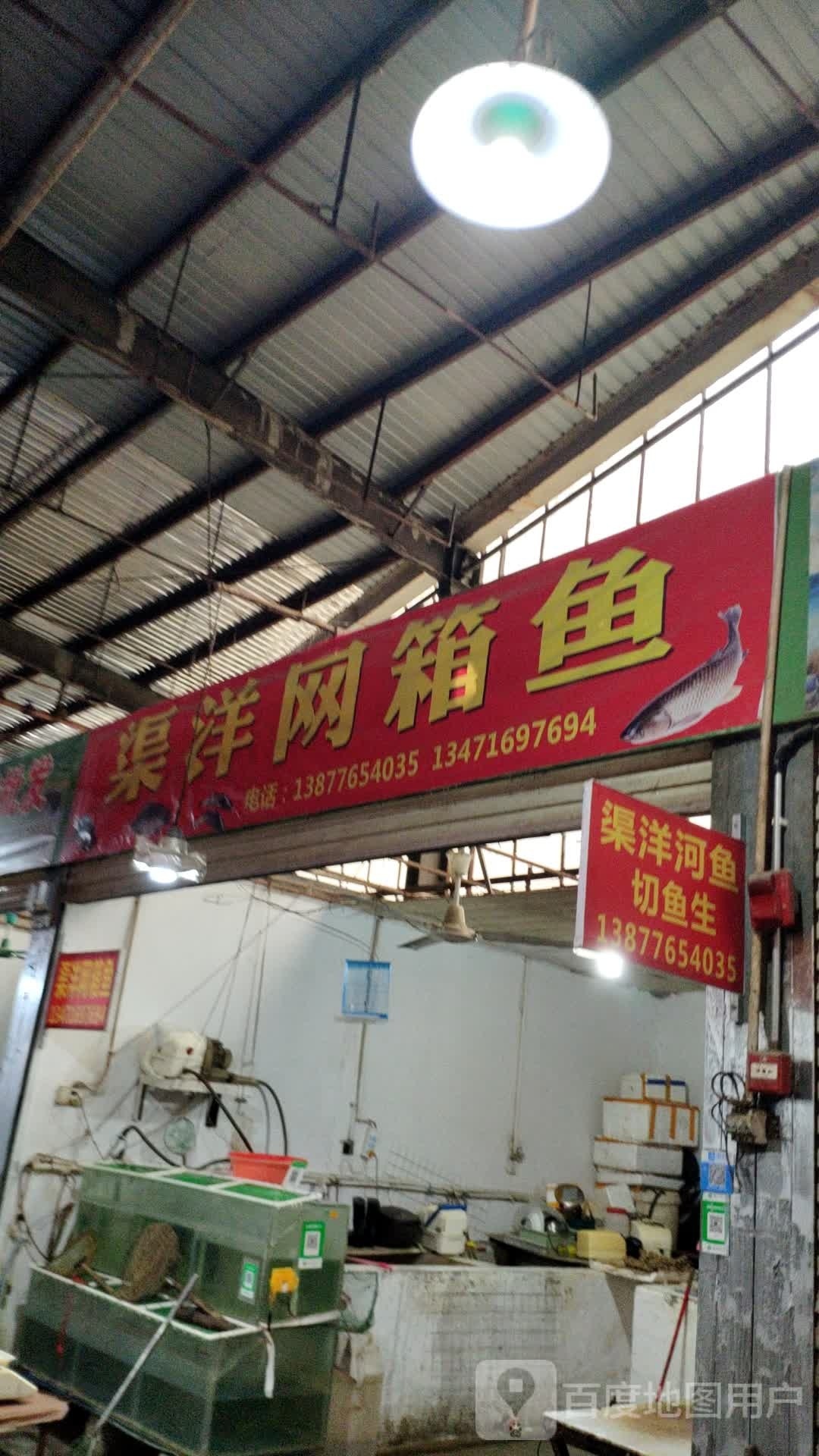 渠洋网箱鱼