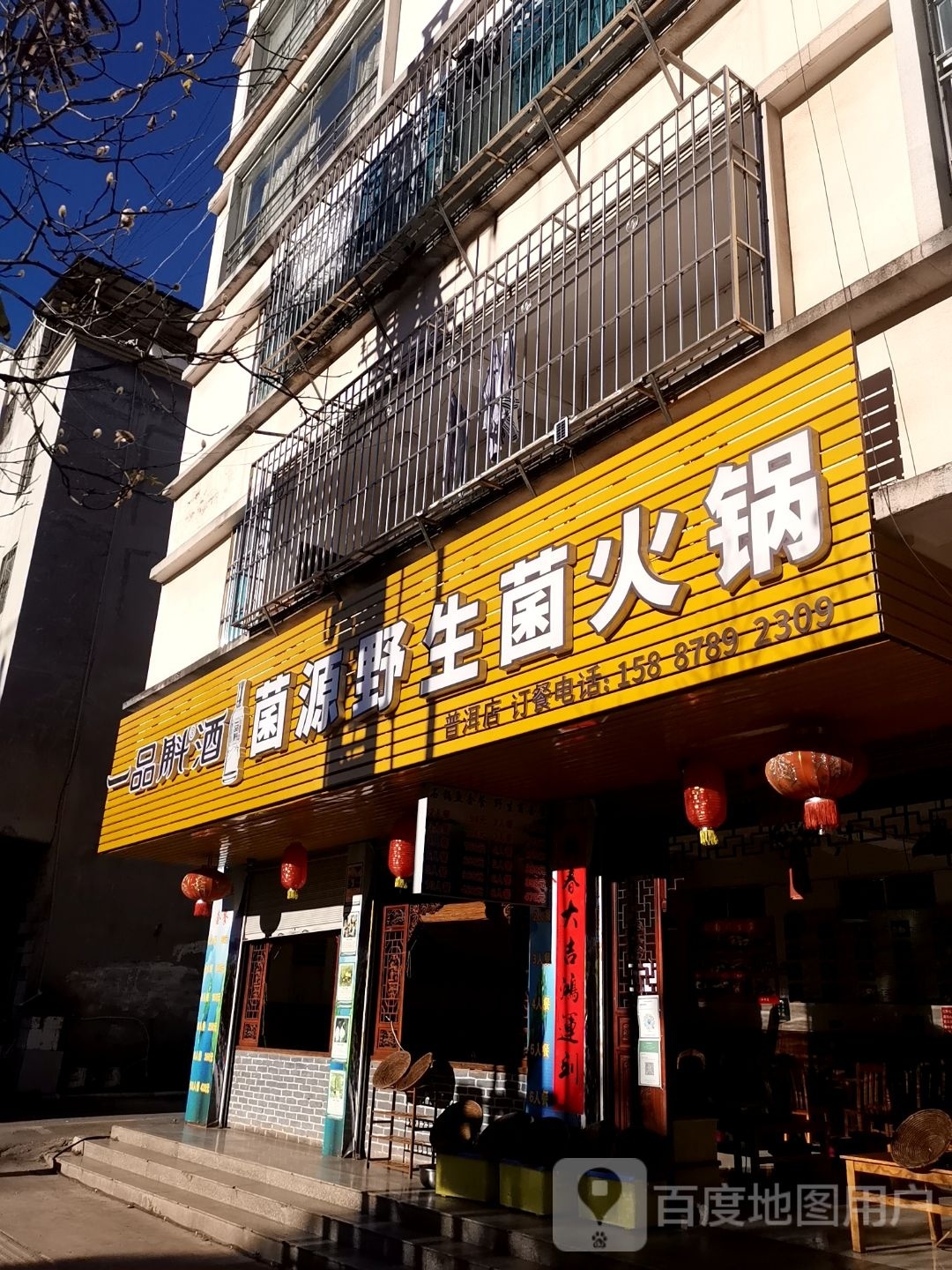 抚仙湖野生菌石斑鱼