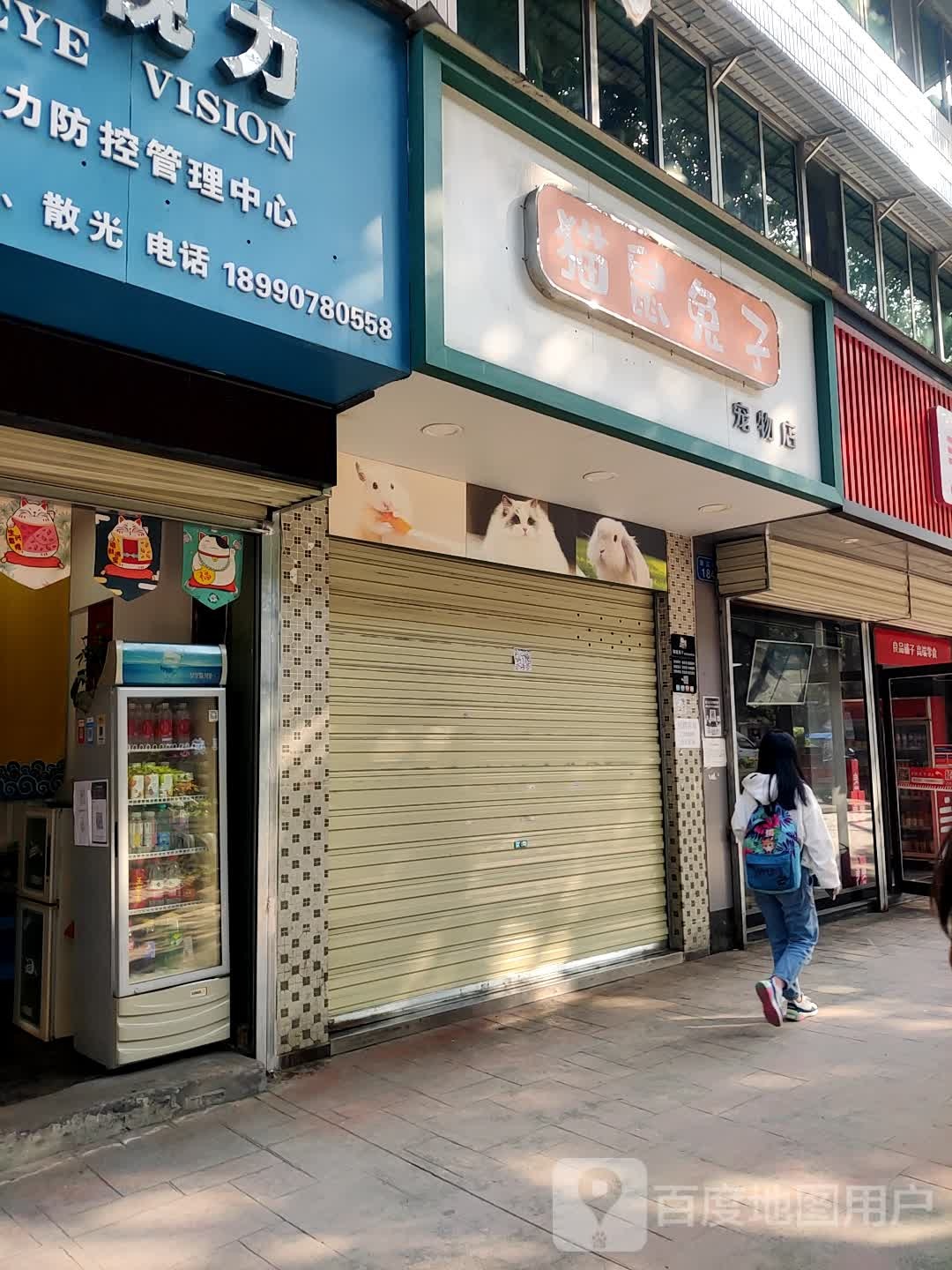 猫鼠兔子宠物店