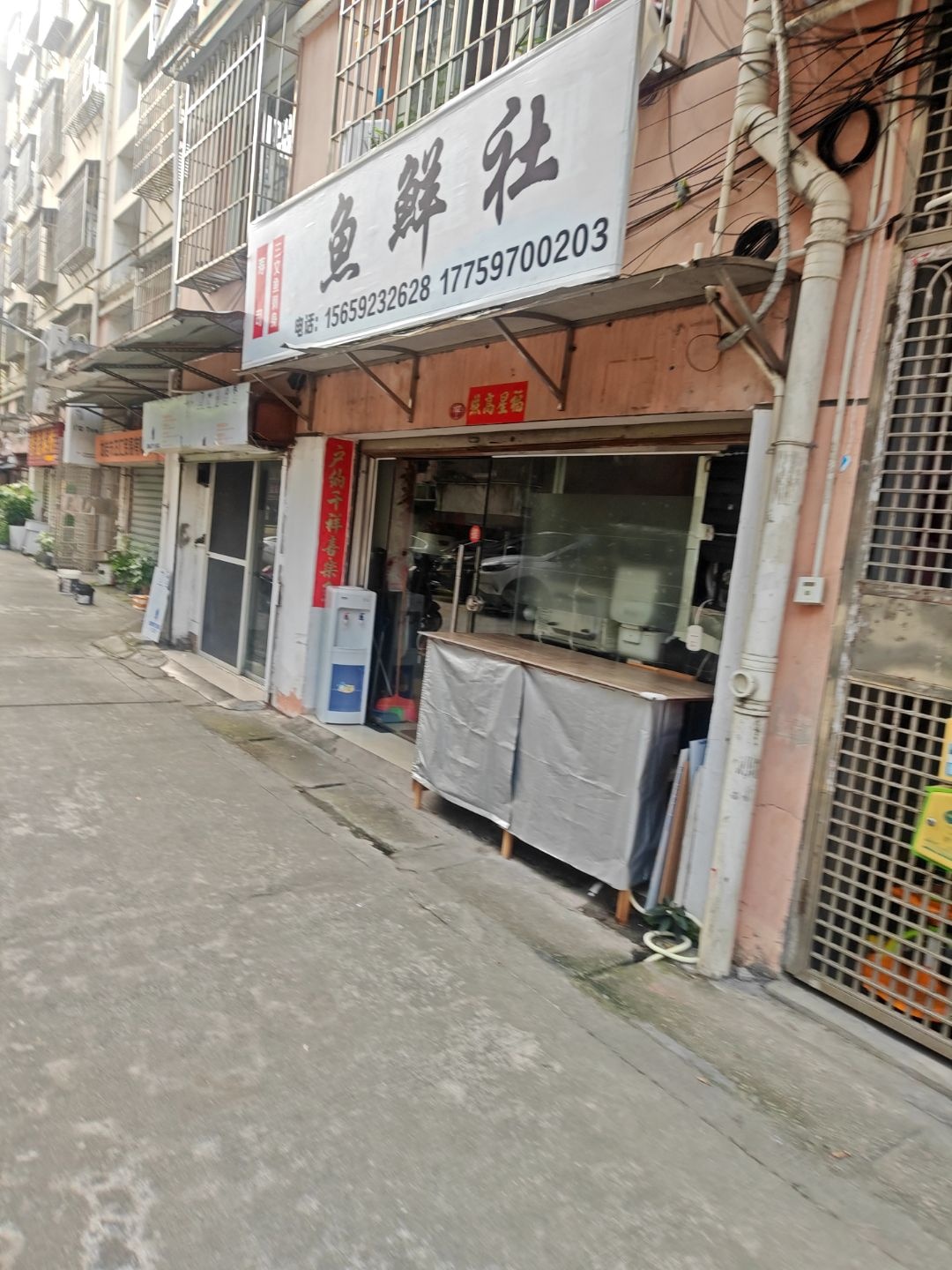 鱼鲜社