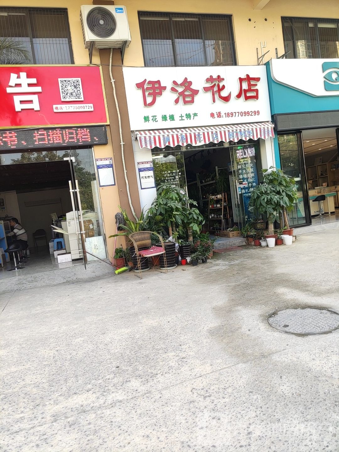 伊洛花店