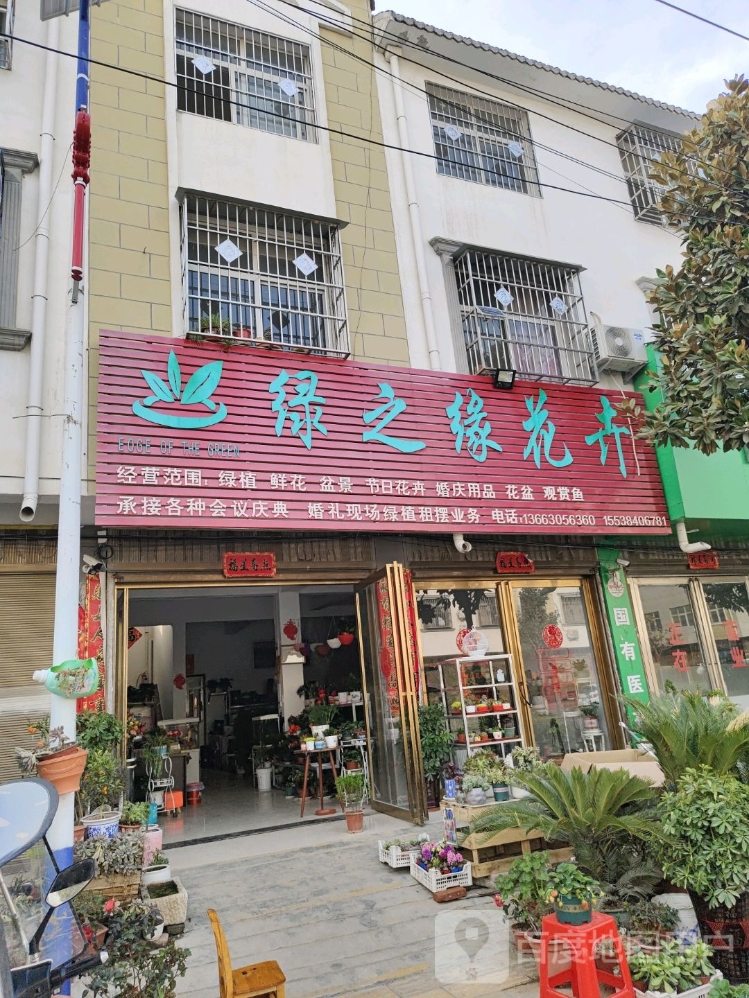 唐河县黑龙镇绿之缘花卉(龙兴路店)