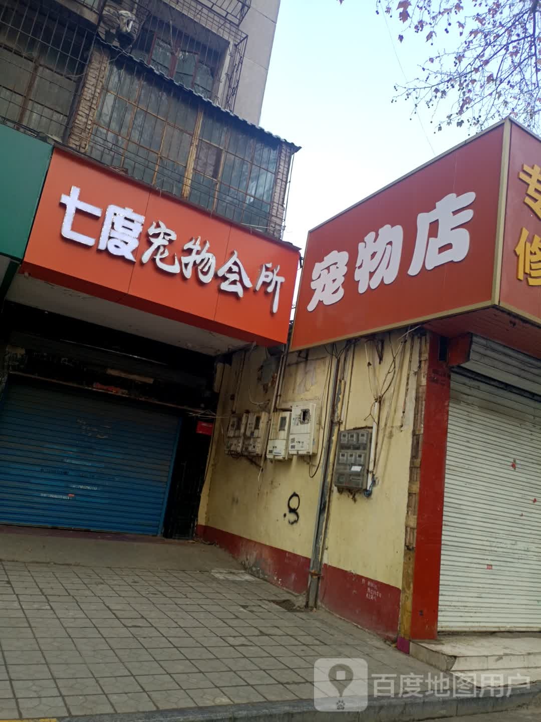 宠物店