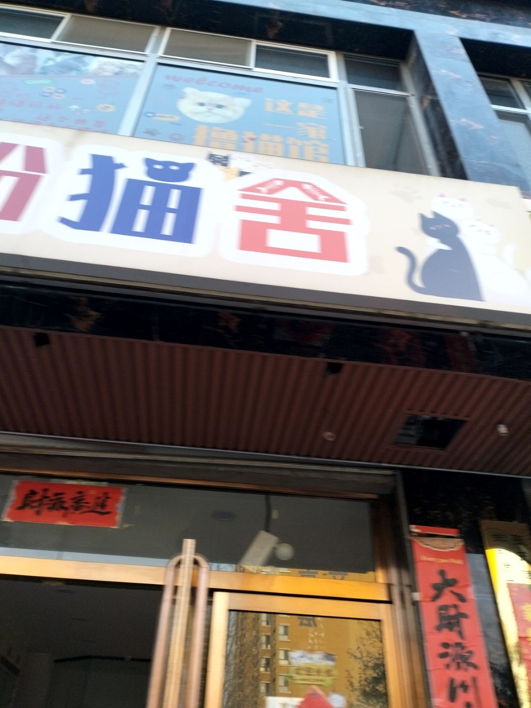 盼盼猫舍(金众寓苑店)