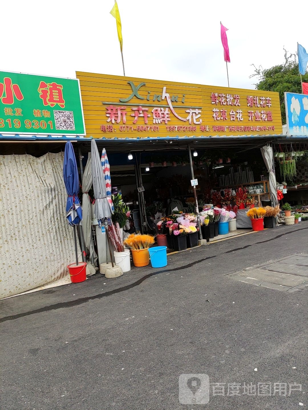 新卉鲜花(广西花鸟交易市场店)