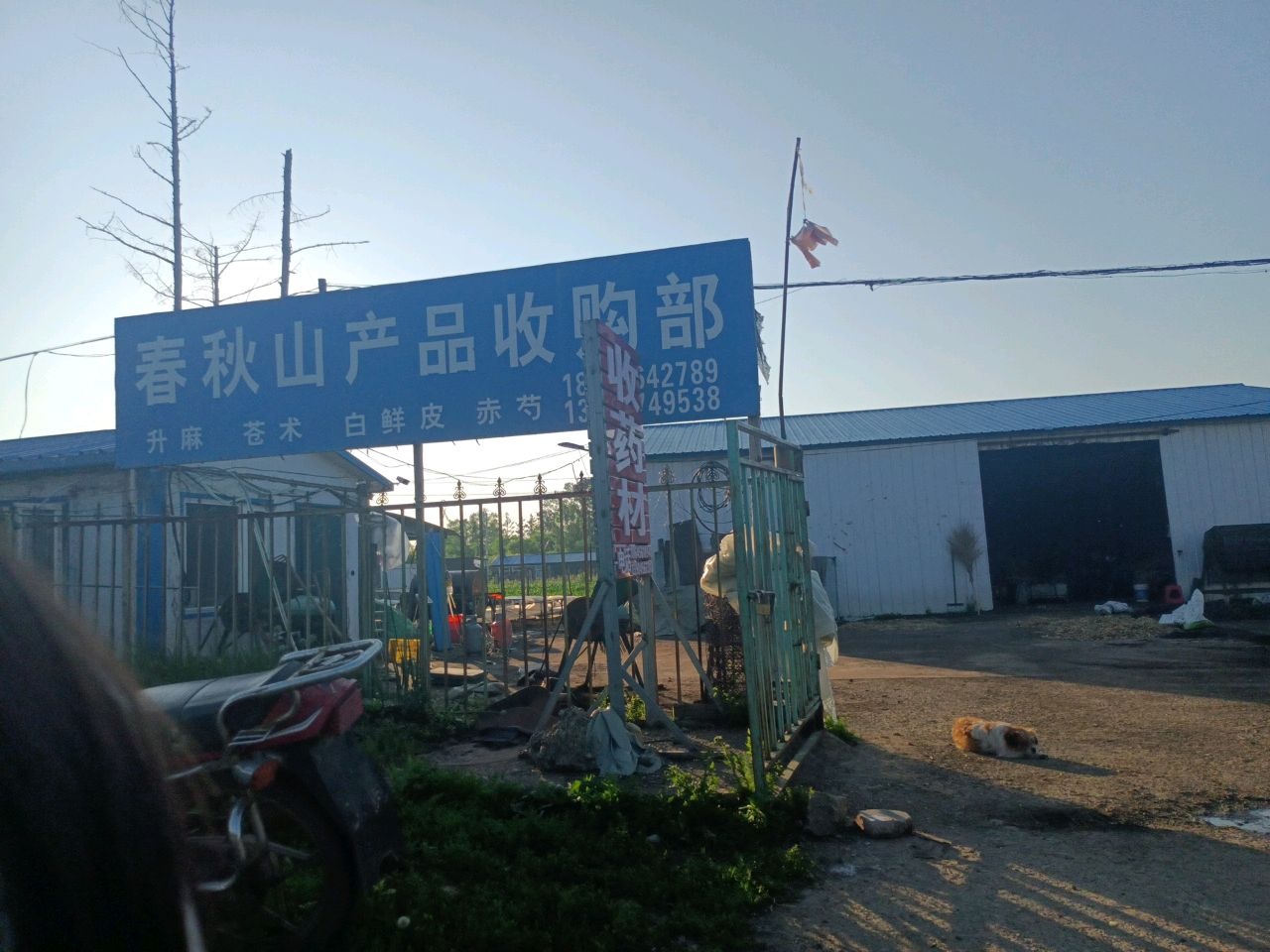 春秋山产品收购部