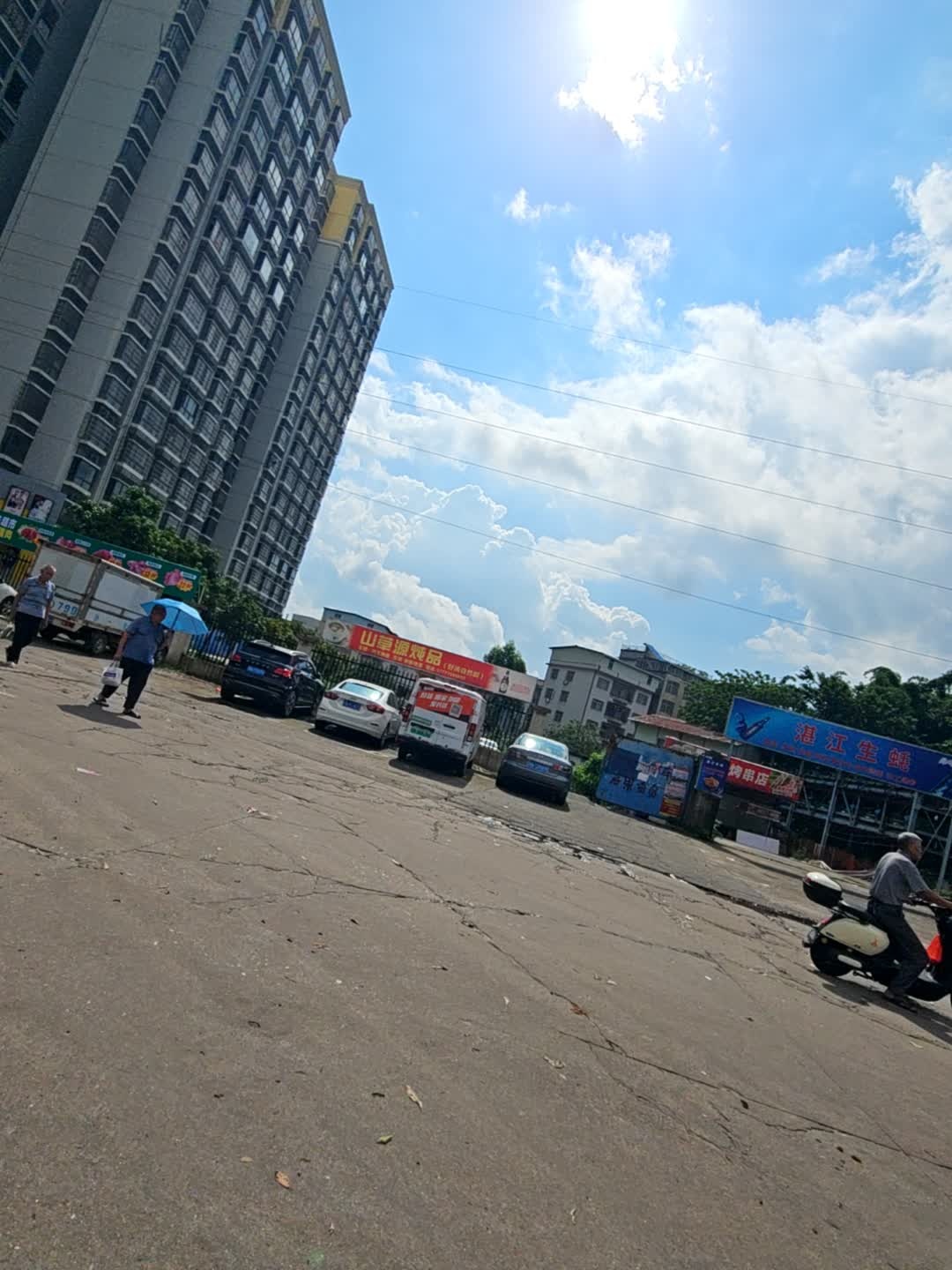 石头三湛江生蚝