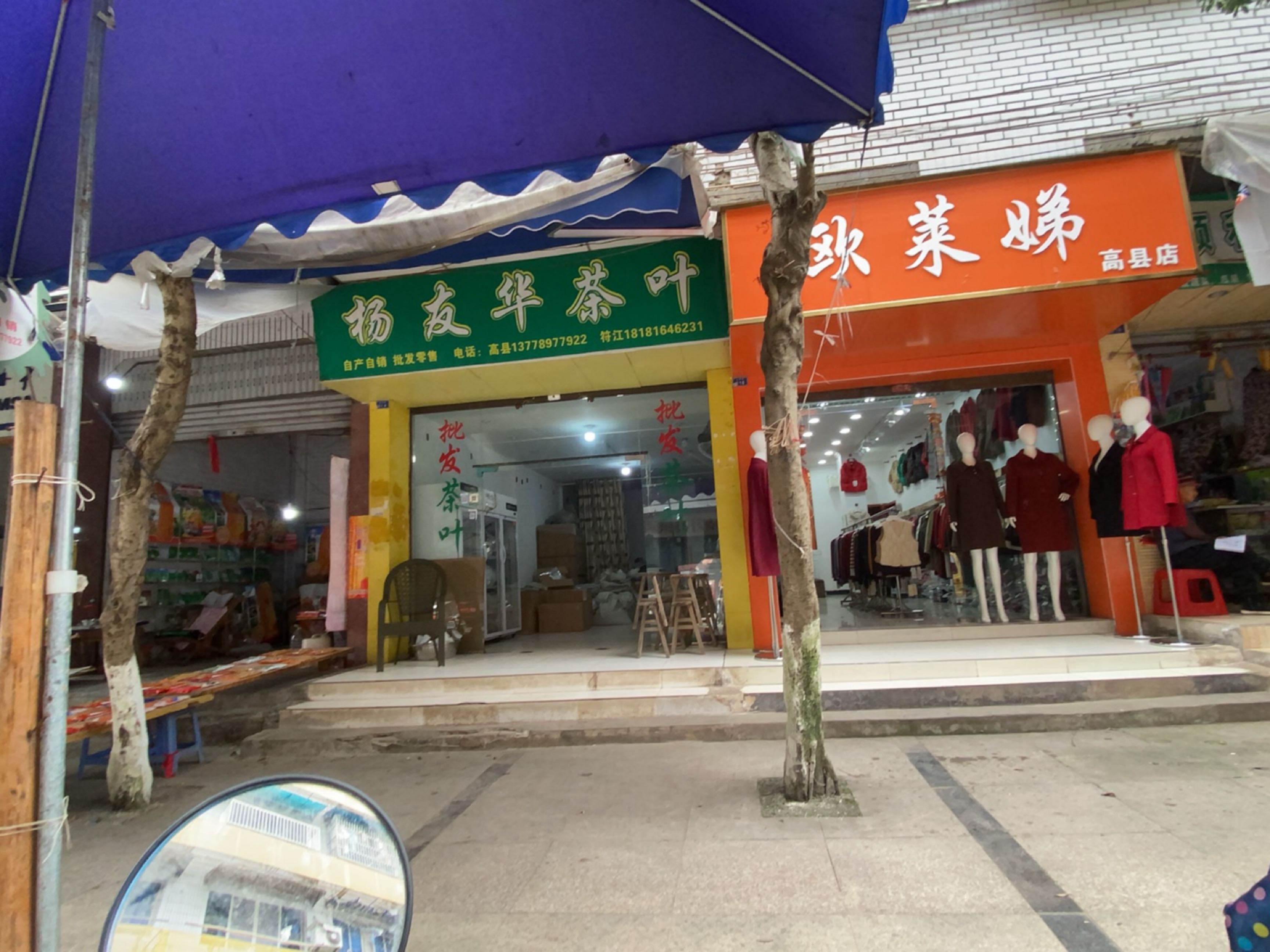 杨友华茶叶