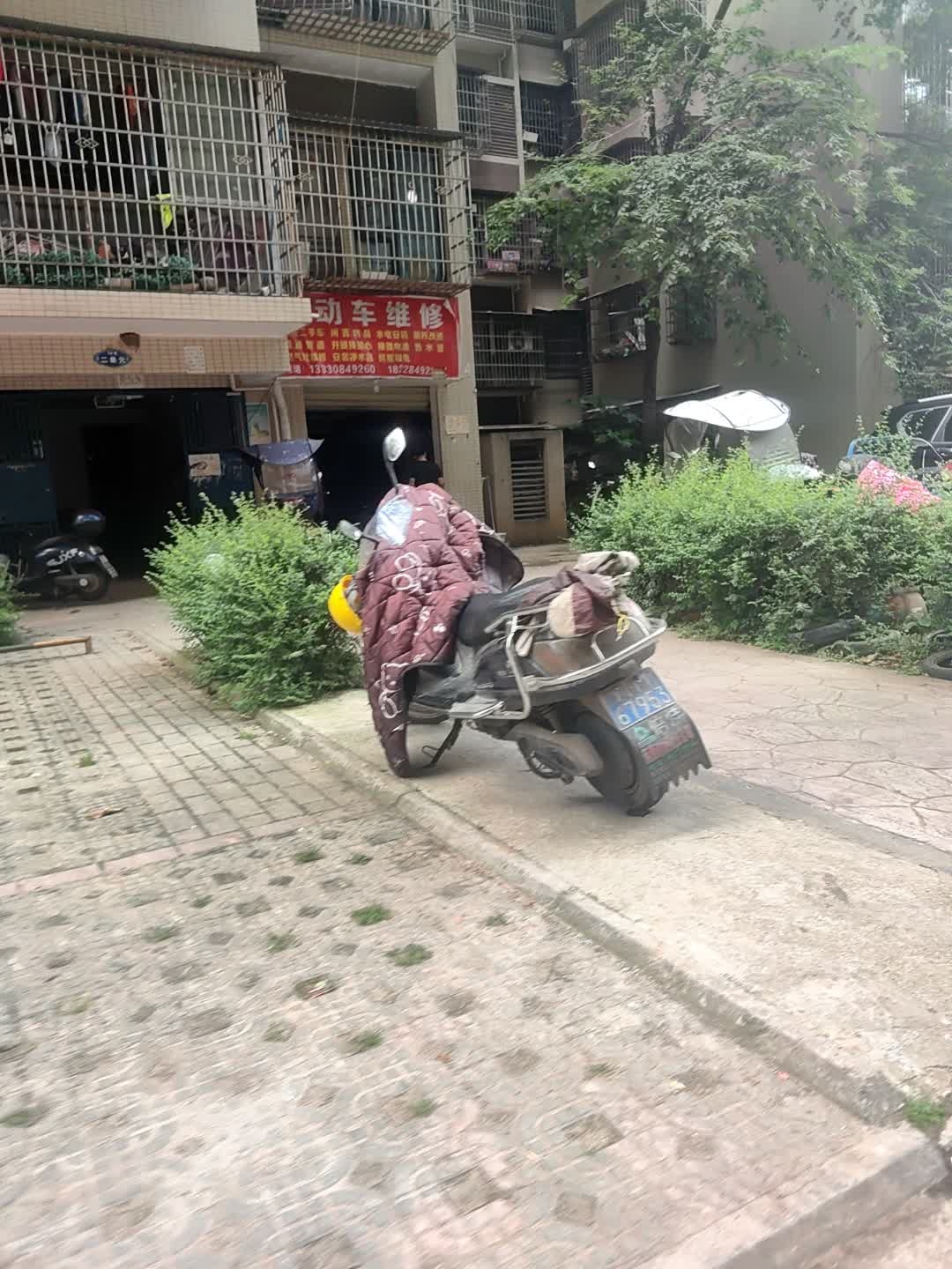 电动车维修(雷音花园店)