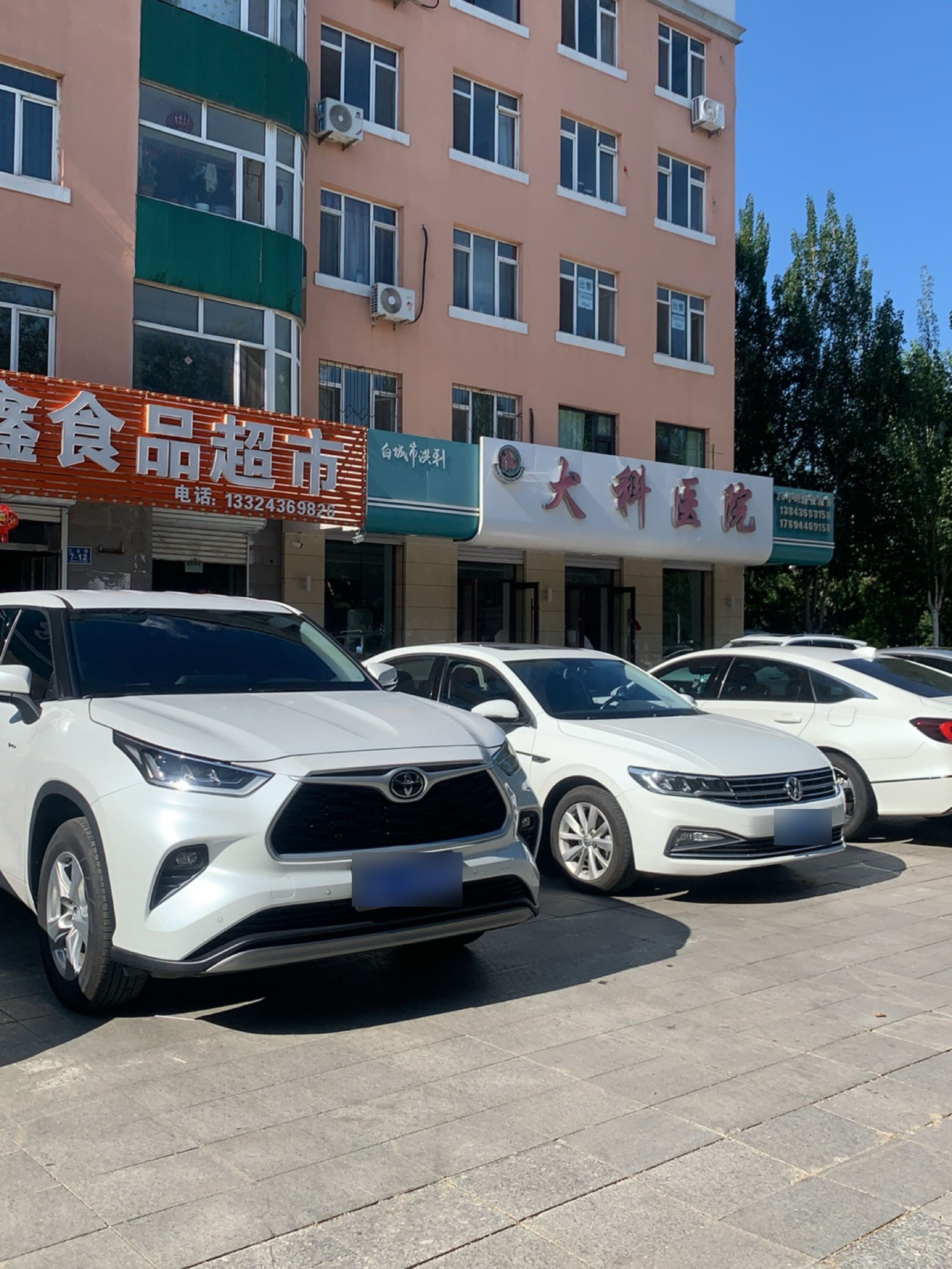 洪利犬科医院·CT影像中心·斯宝乐思