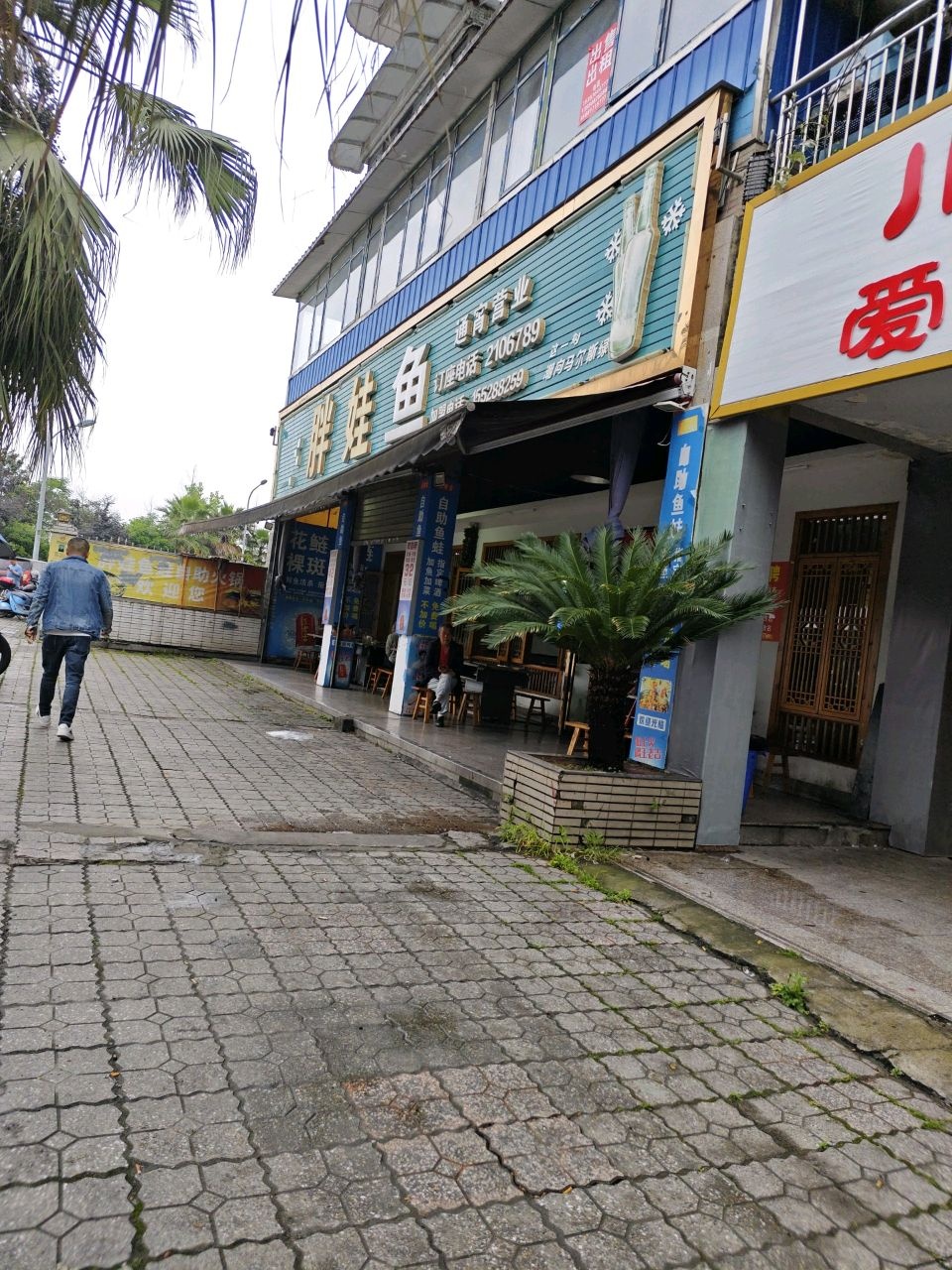 胖娃鱼(自助鱼蛙)