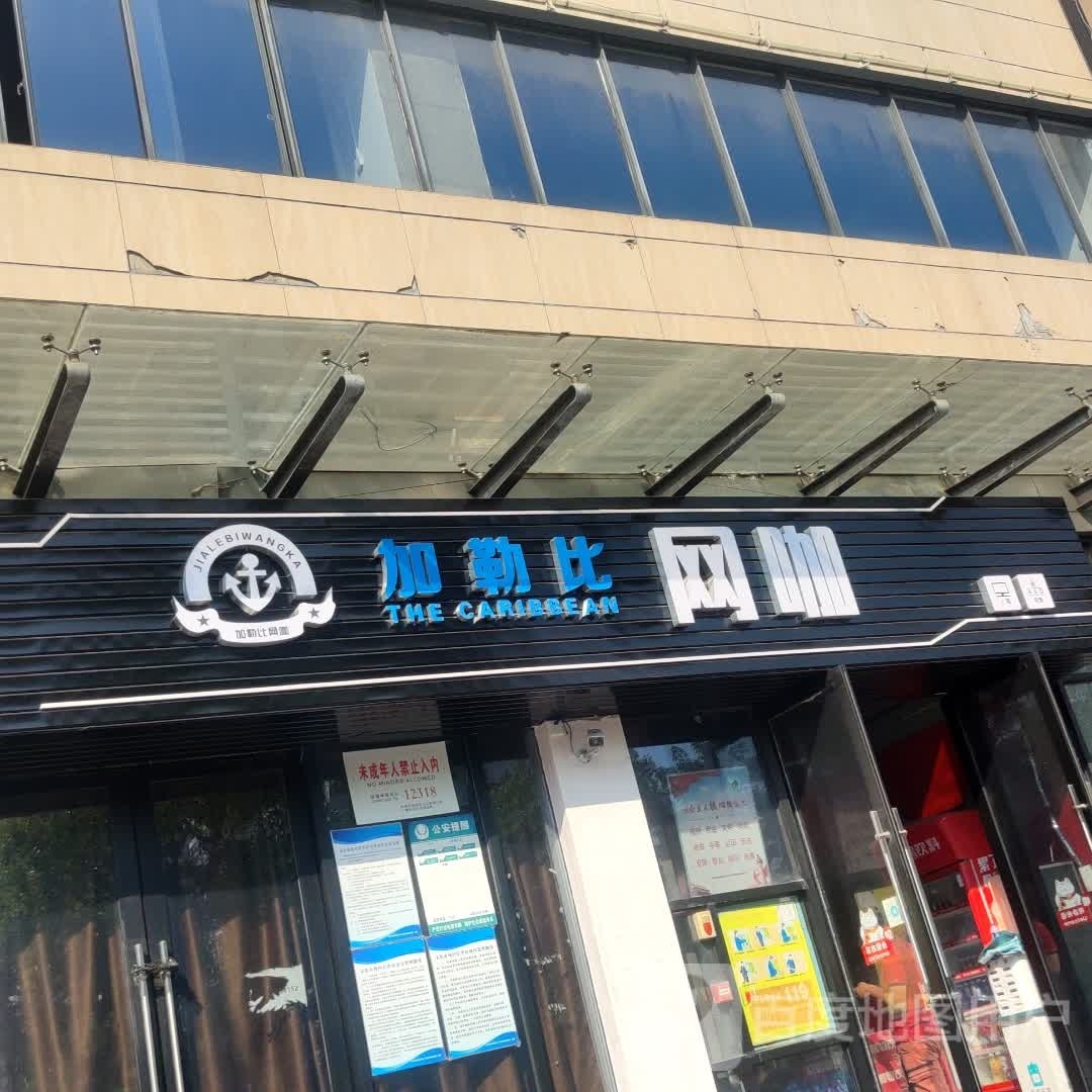 咖勒比王卡