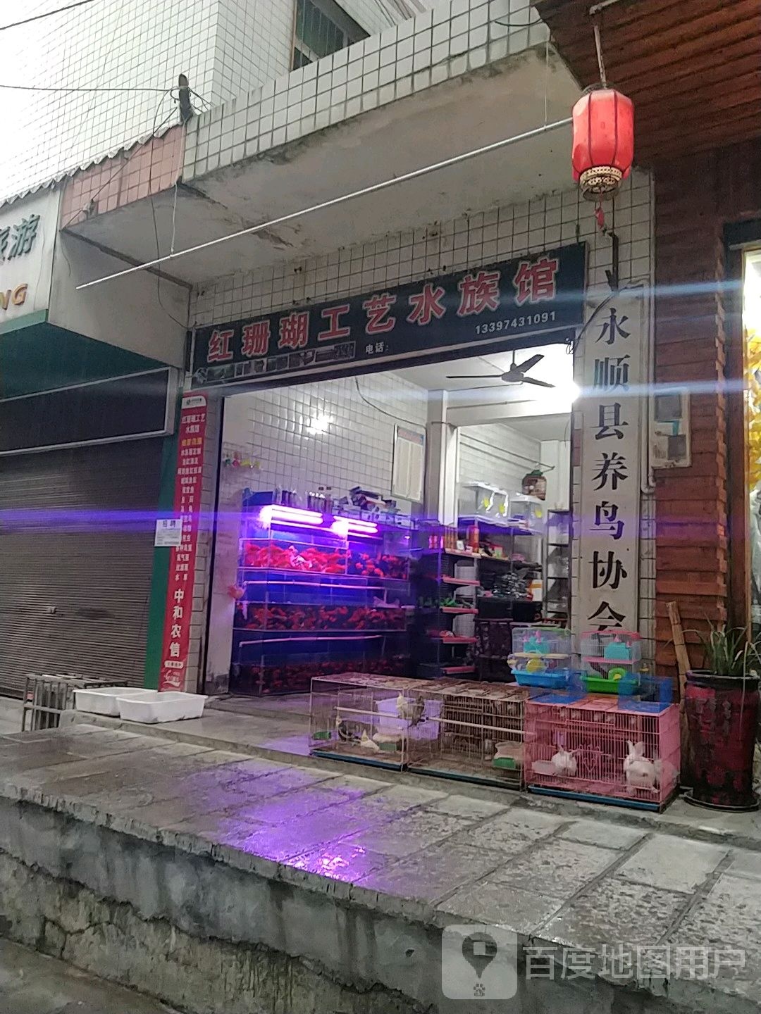 红珊瑚工艺水族管