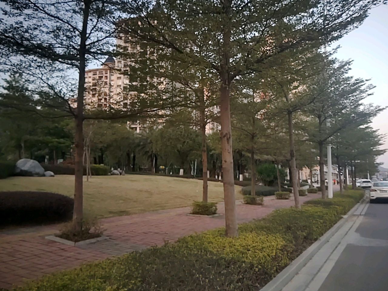 端州151区市政公园