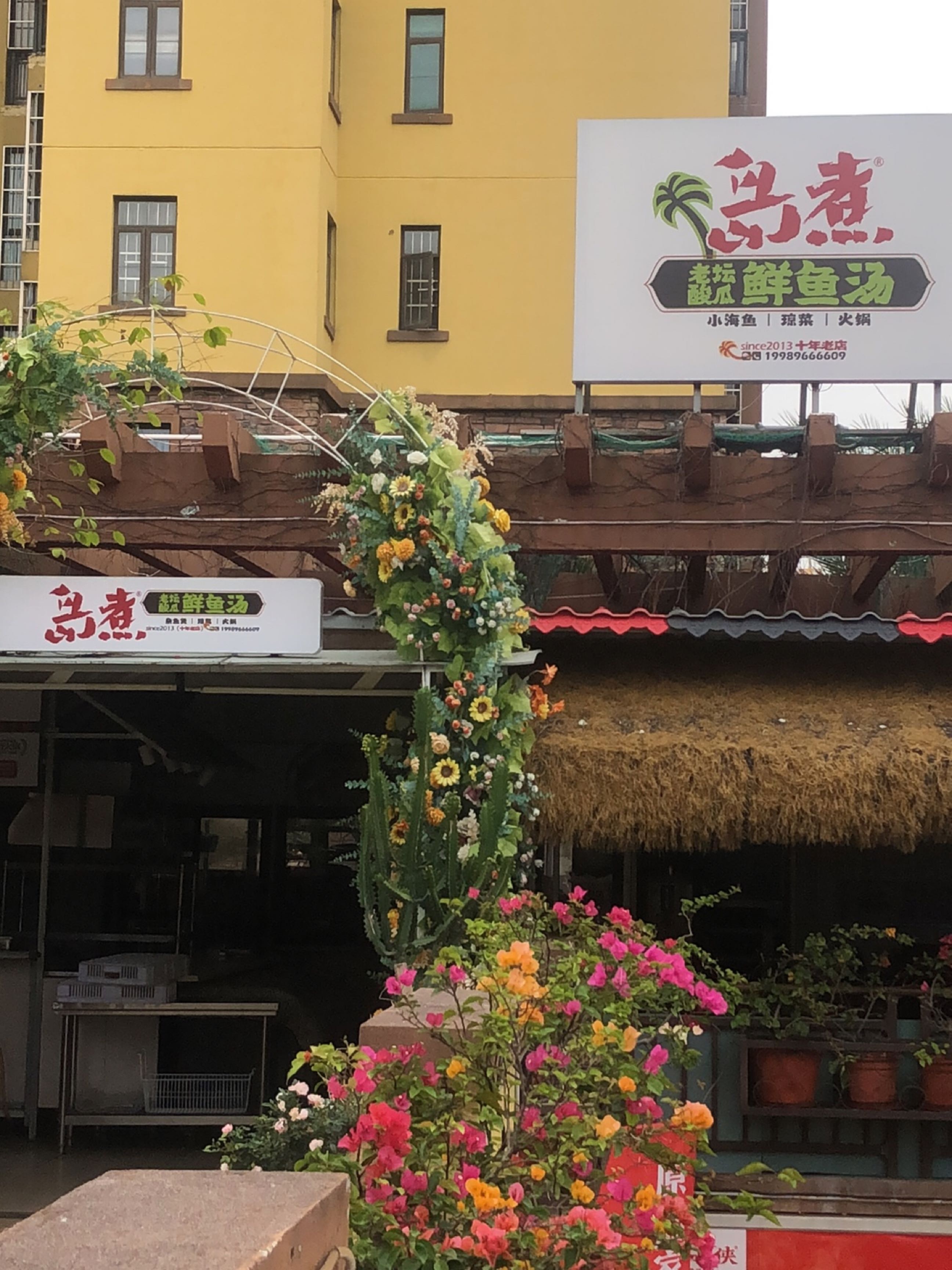 岛煮·鲜鱼汤琼菜火锅