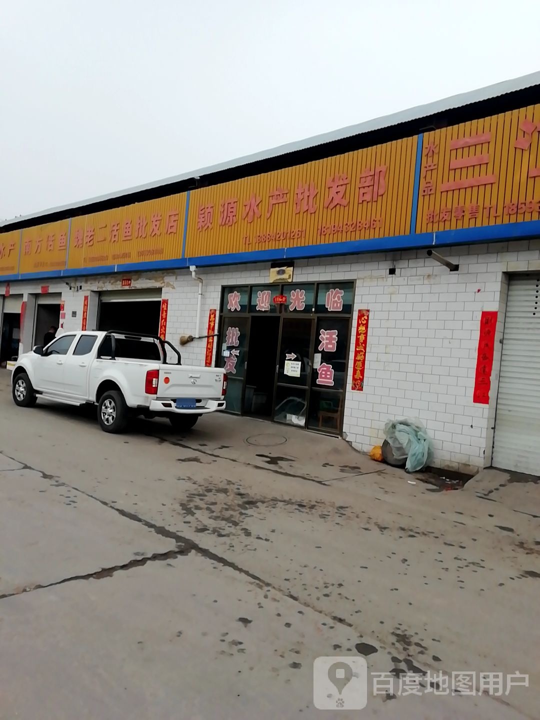 南方活鱼