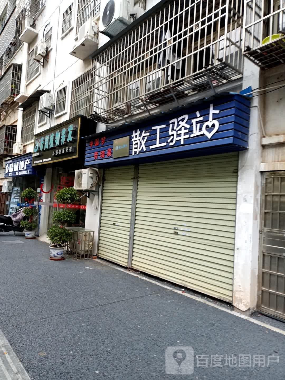 精诚地产(金阳光店)