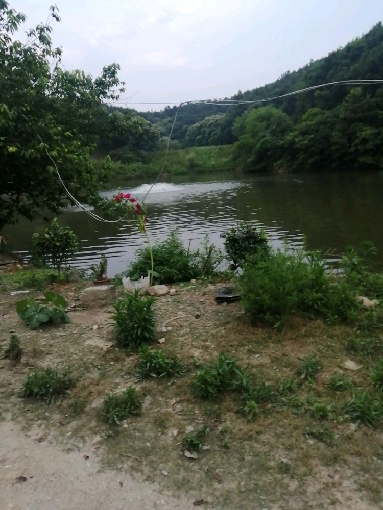 湖北省随州市曾都区何店镇谢店村沈家塆