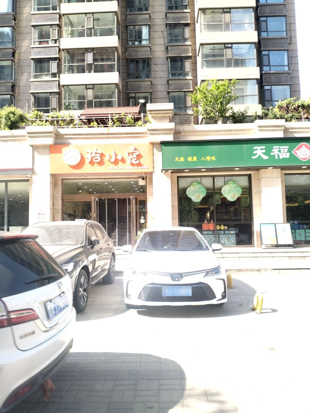 拾小宠宠物店