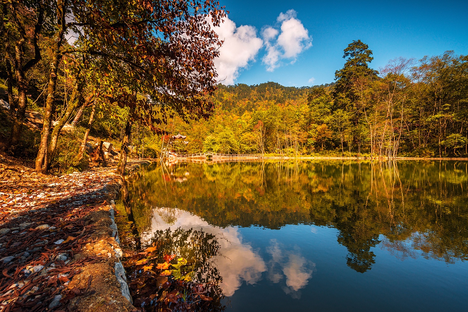 二郎山喇叭河旅游景区