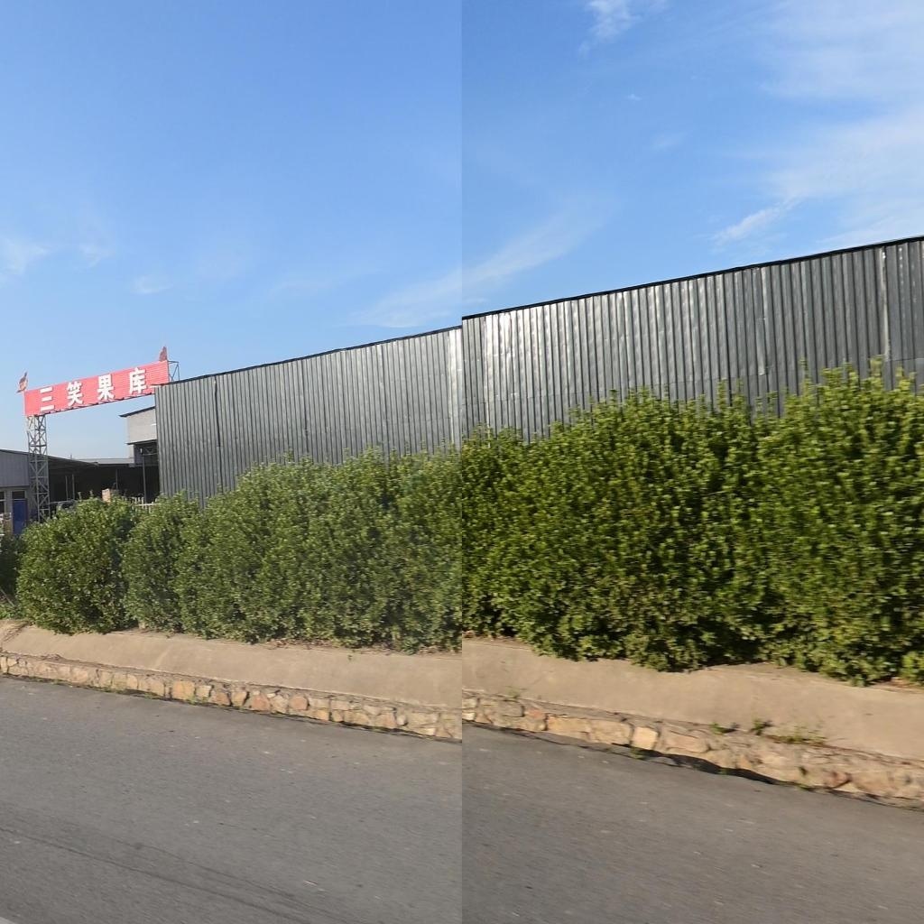 三笑果库