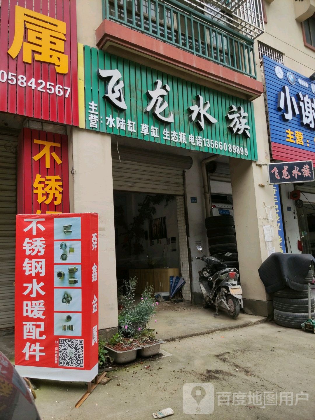 飞龙水族