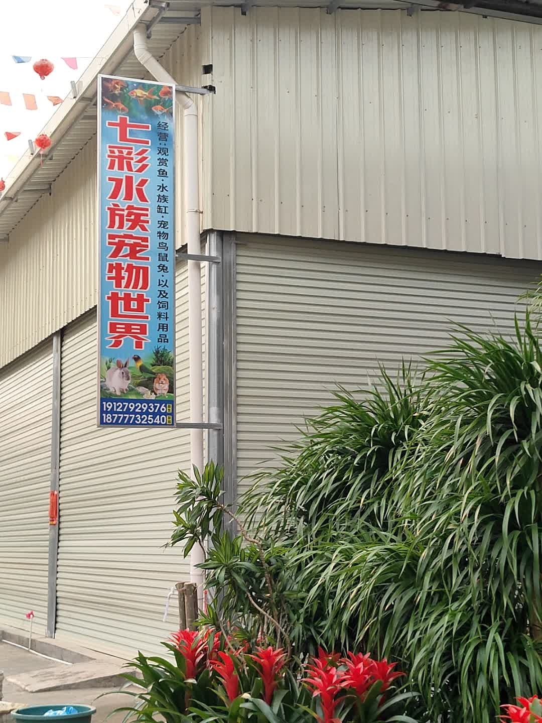 七彩水族宠物世界