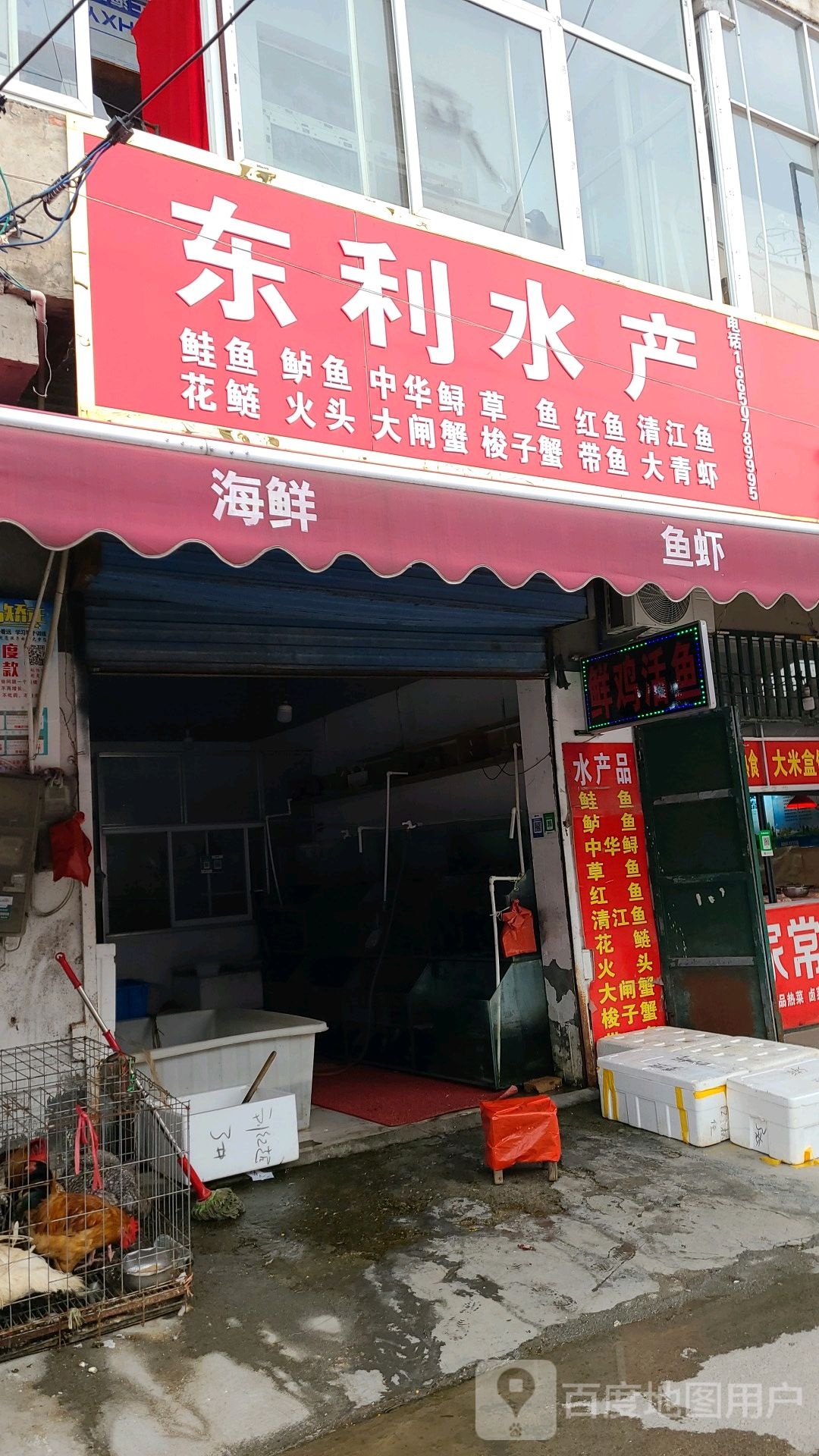东骊水产