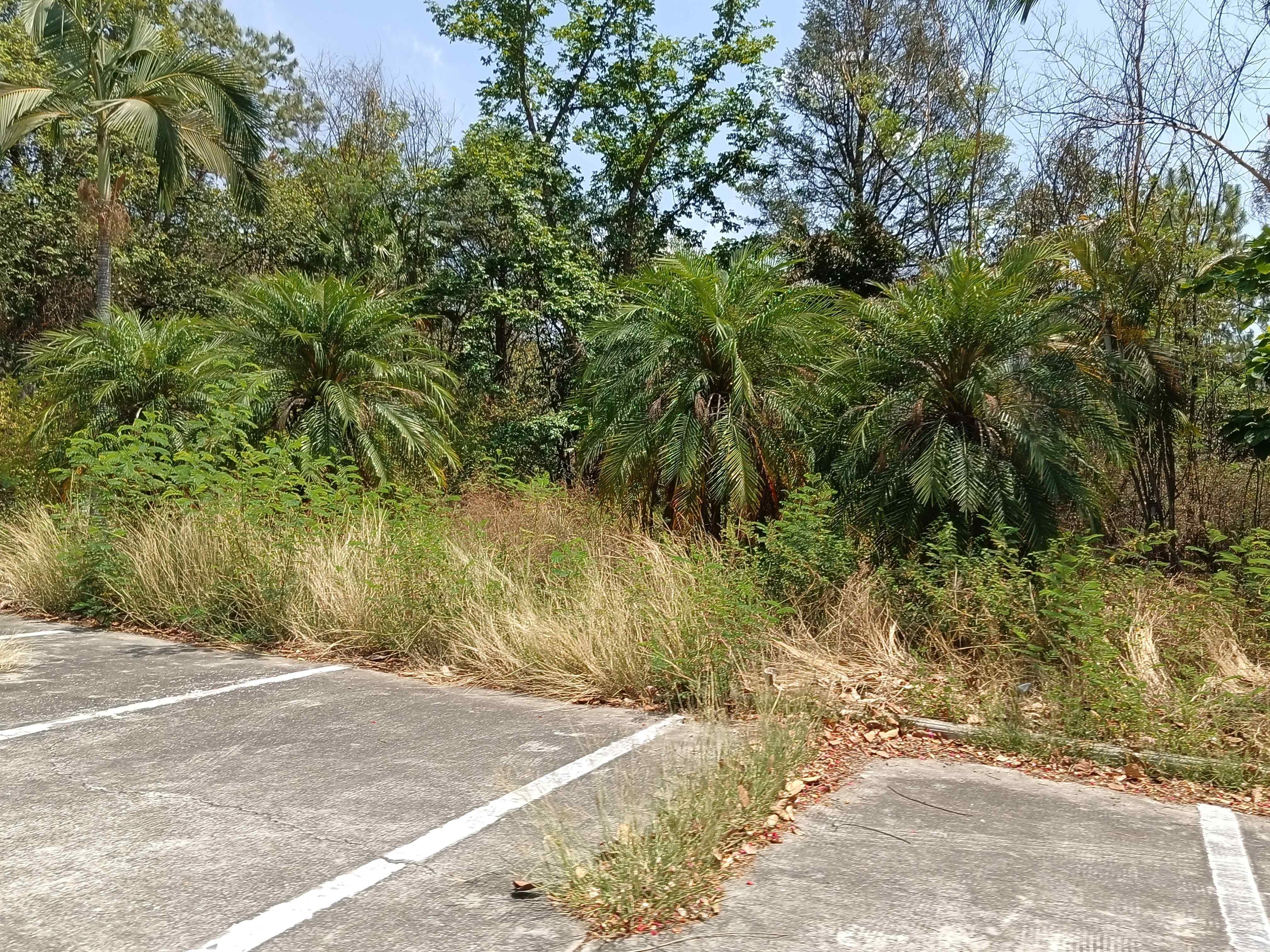 盐边欧方营地(生态度假酒店)-地上停车场