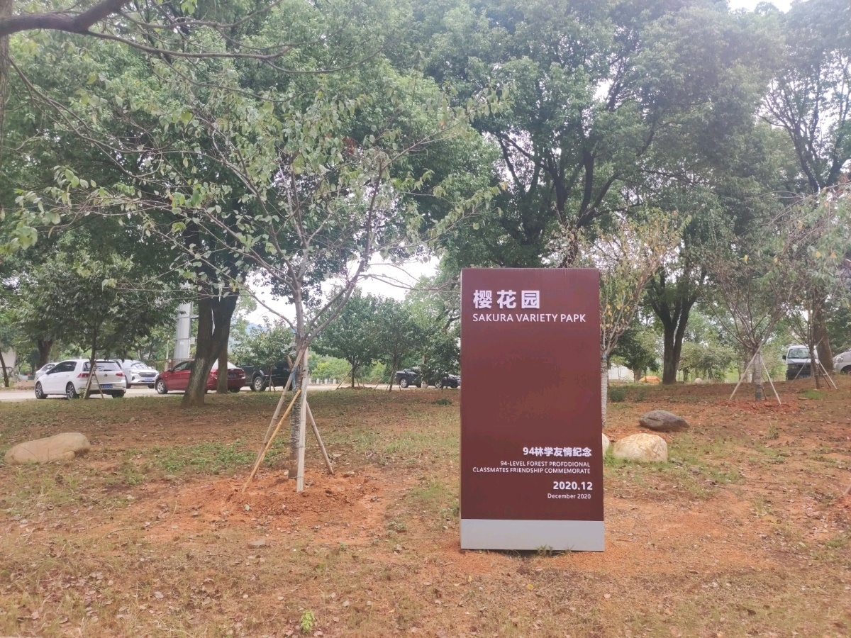 江西农业大学南区新区-樱花园