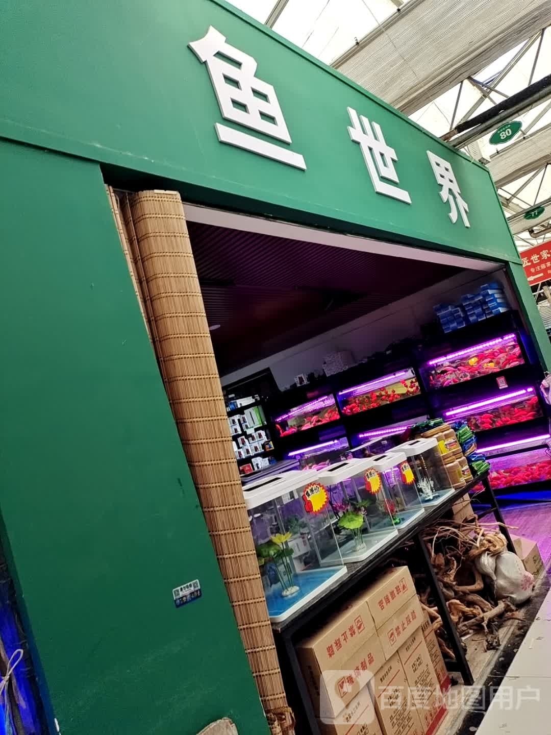 鱼世界