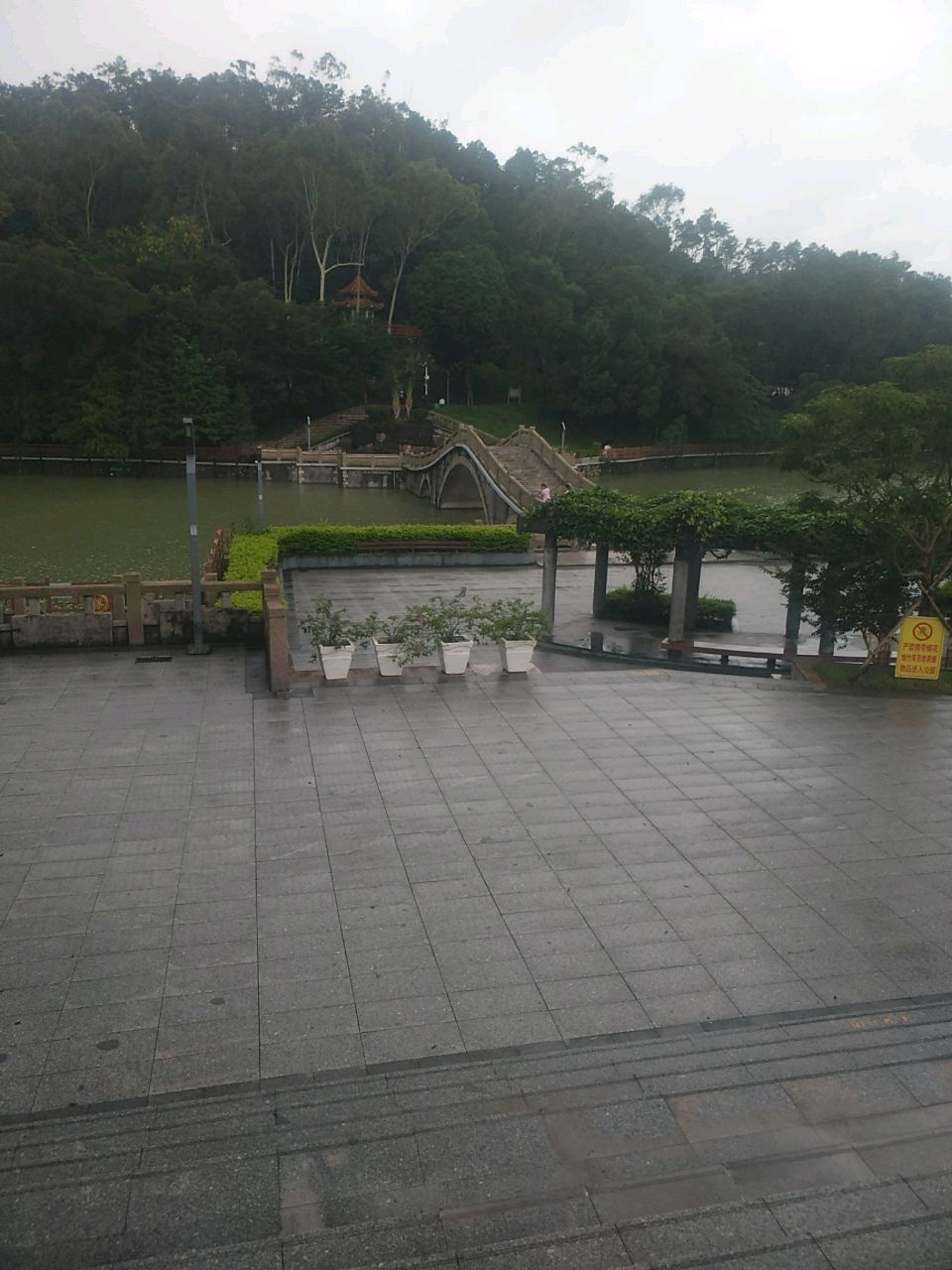 井岸人工湖碧道