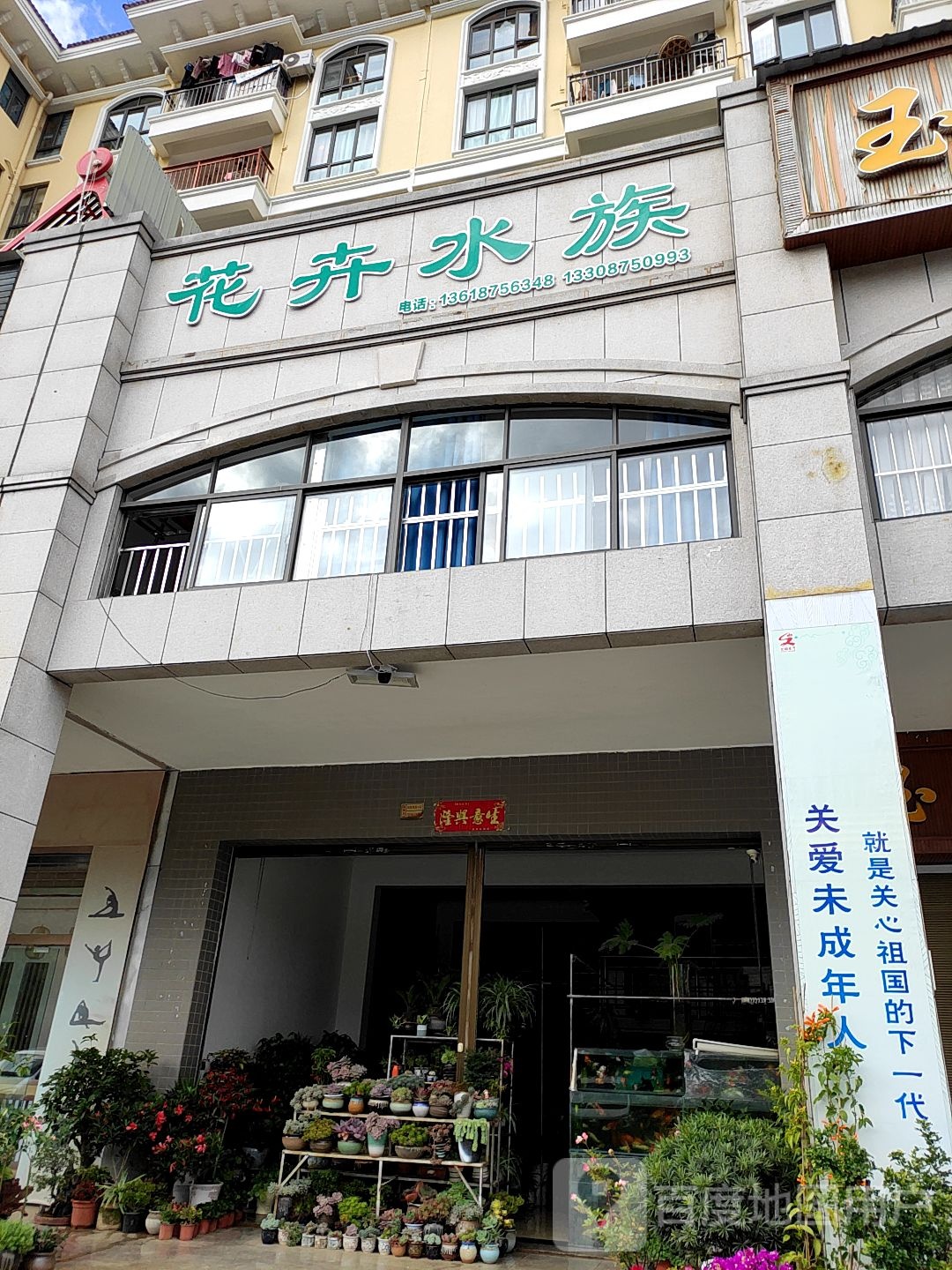 深蓝花卉水族