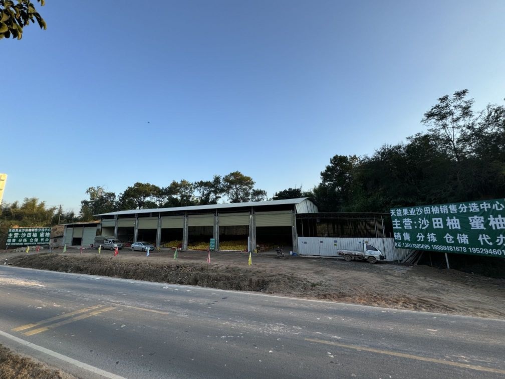 广西容县天益沙田柚分选中心