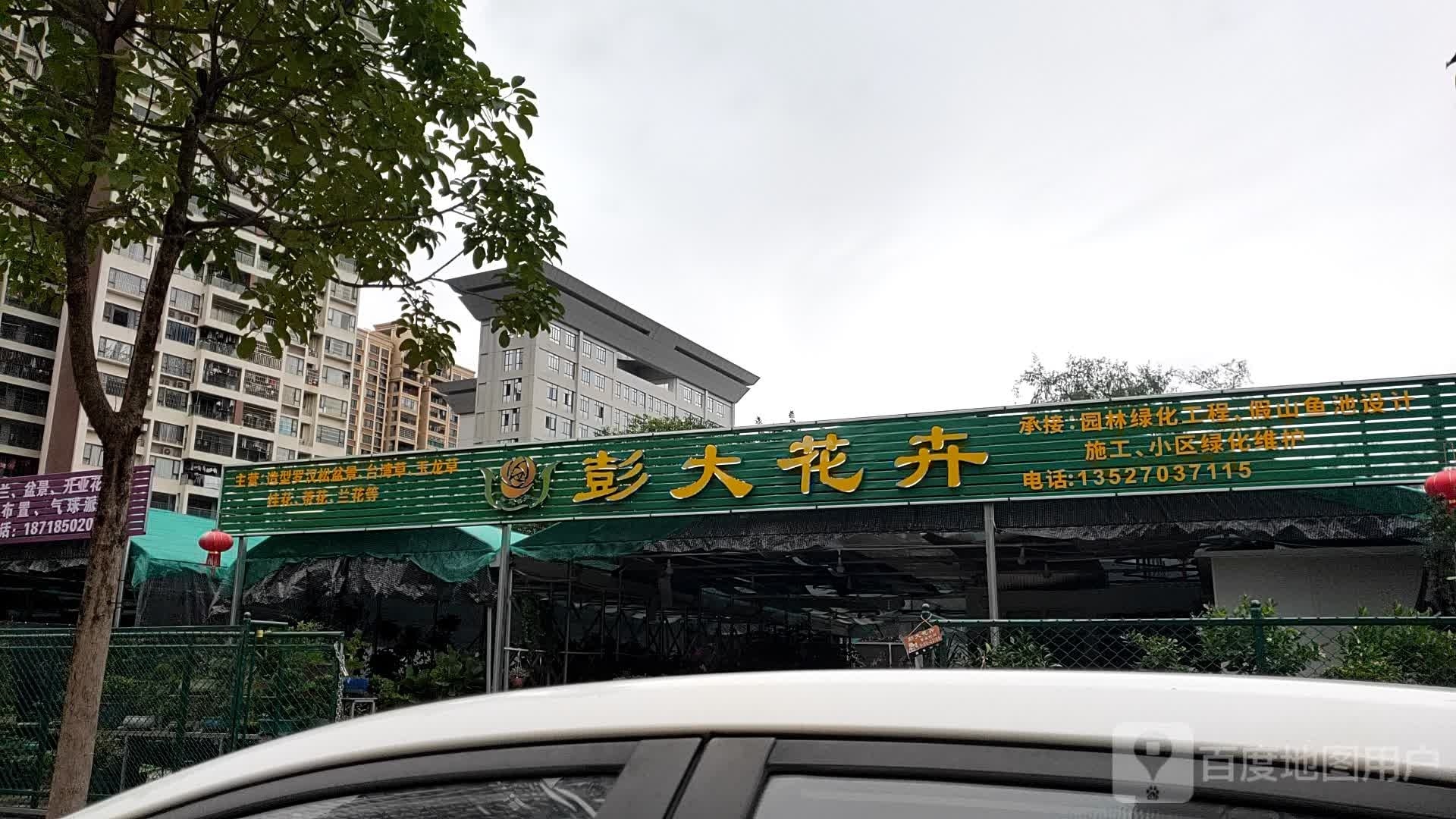 彭大花卉(泰宁华府店)
