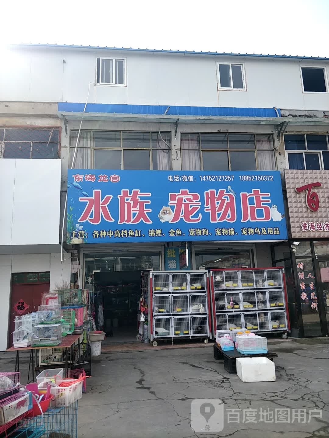 东海龙宫水zu宠物店