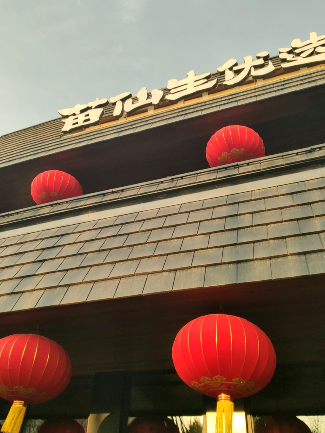 苗仙生优选
