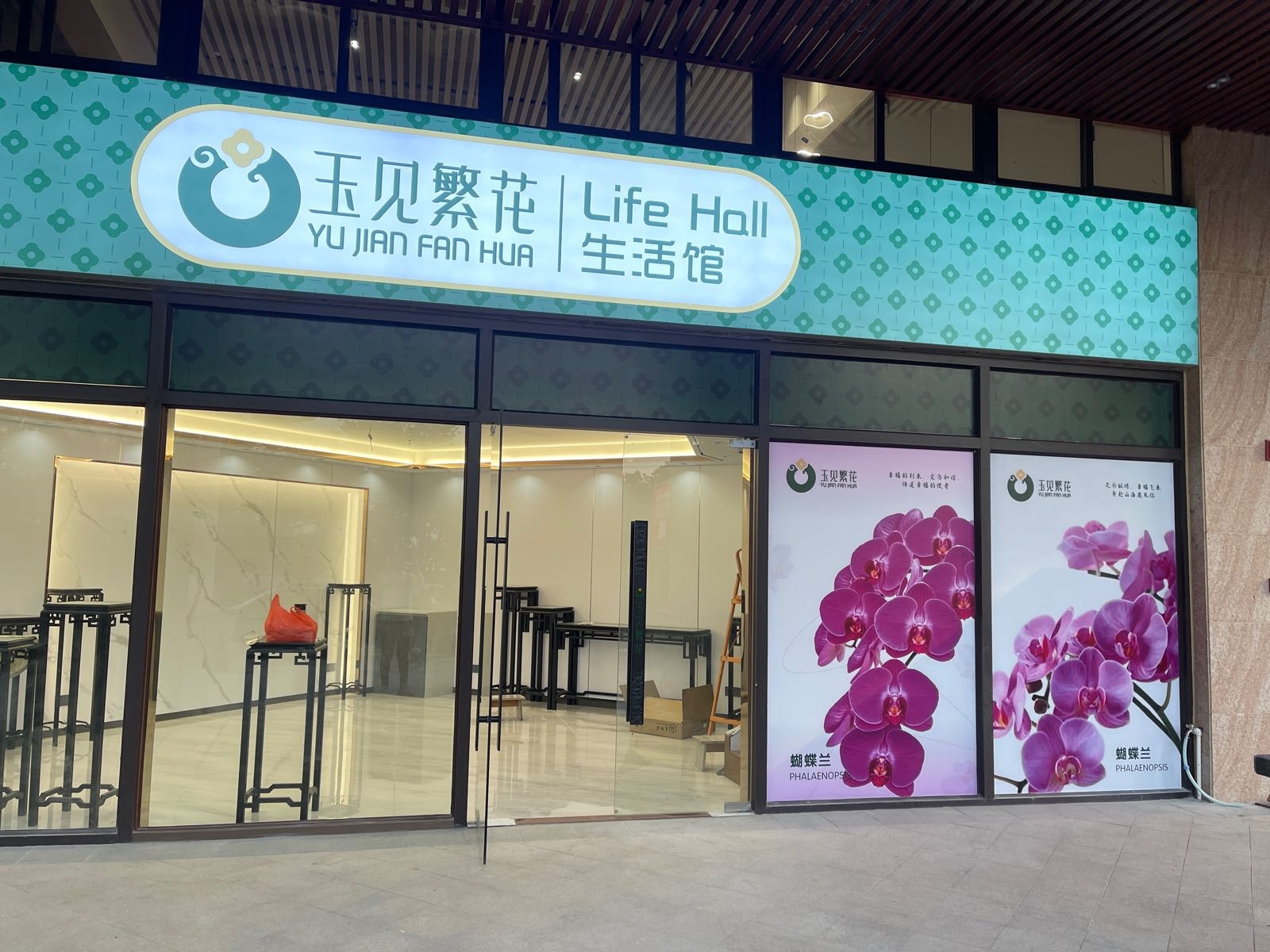 玉见繁花蝴蝶兰