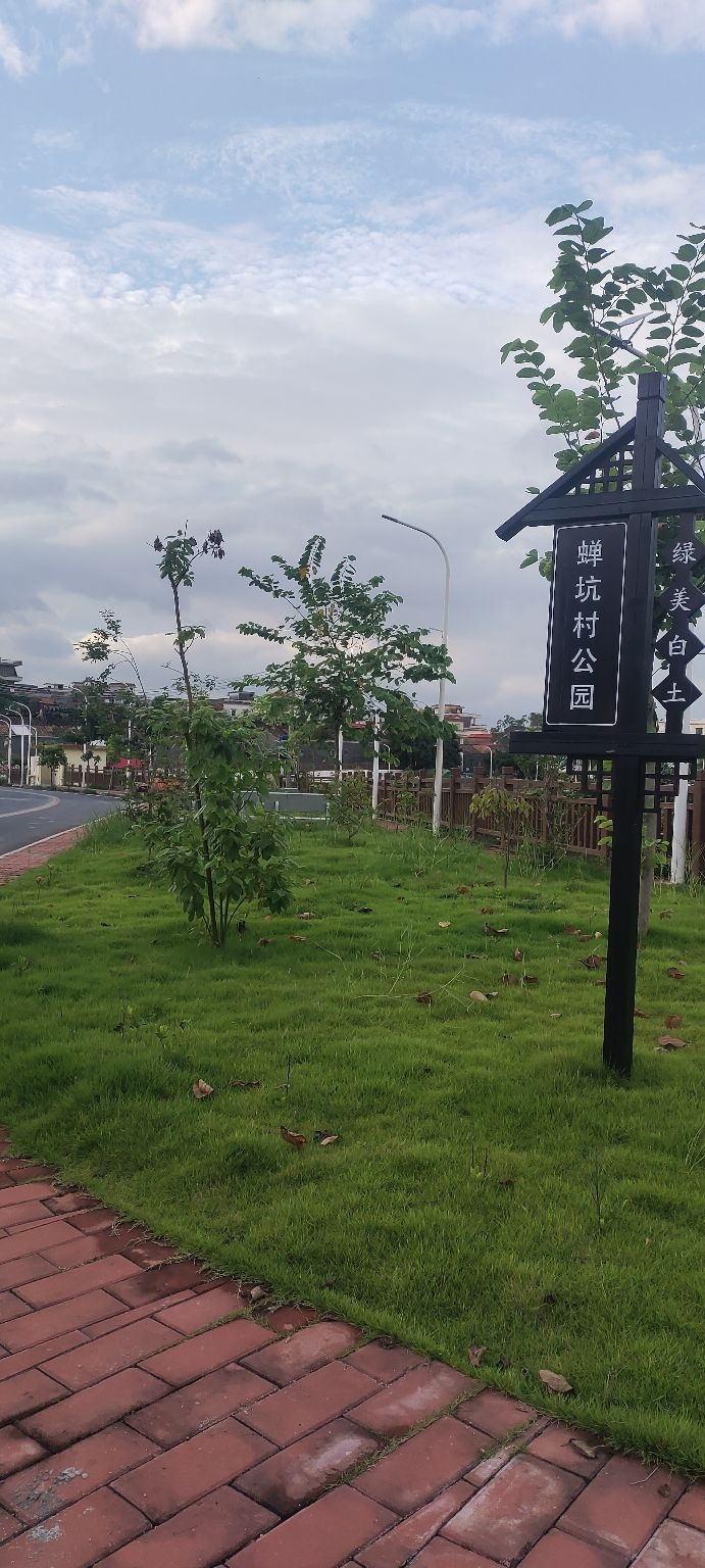 蝉坑村公园