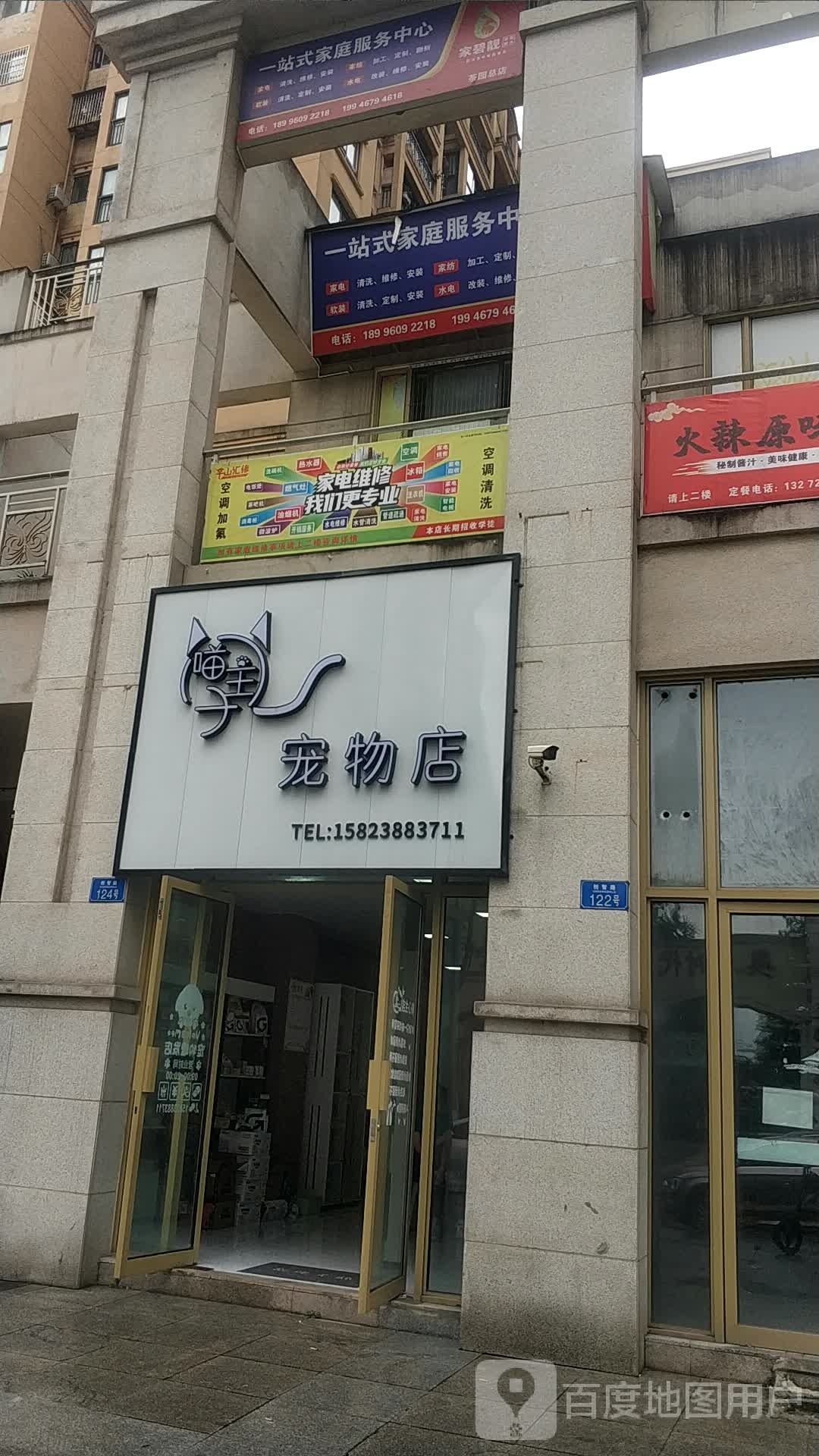 猫主子宠物店