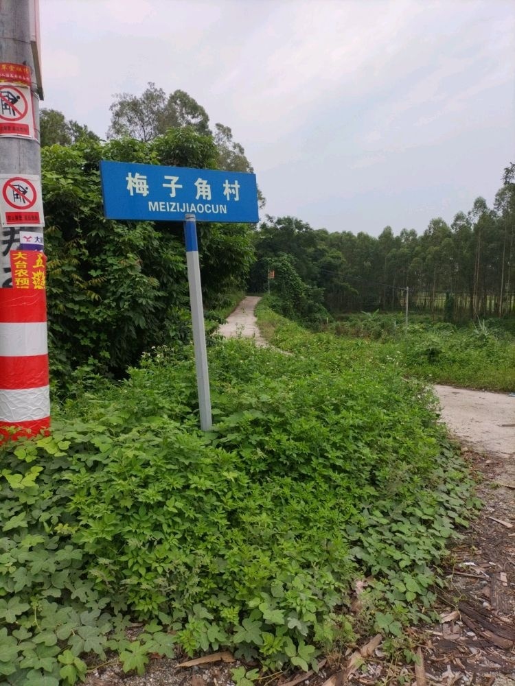 玉林市梅子角村