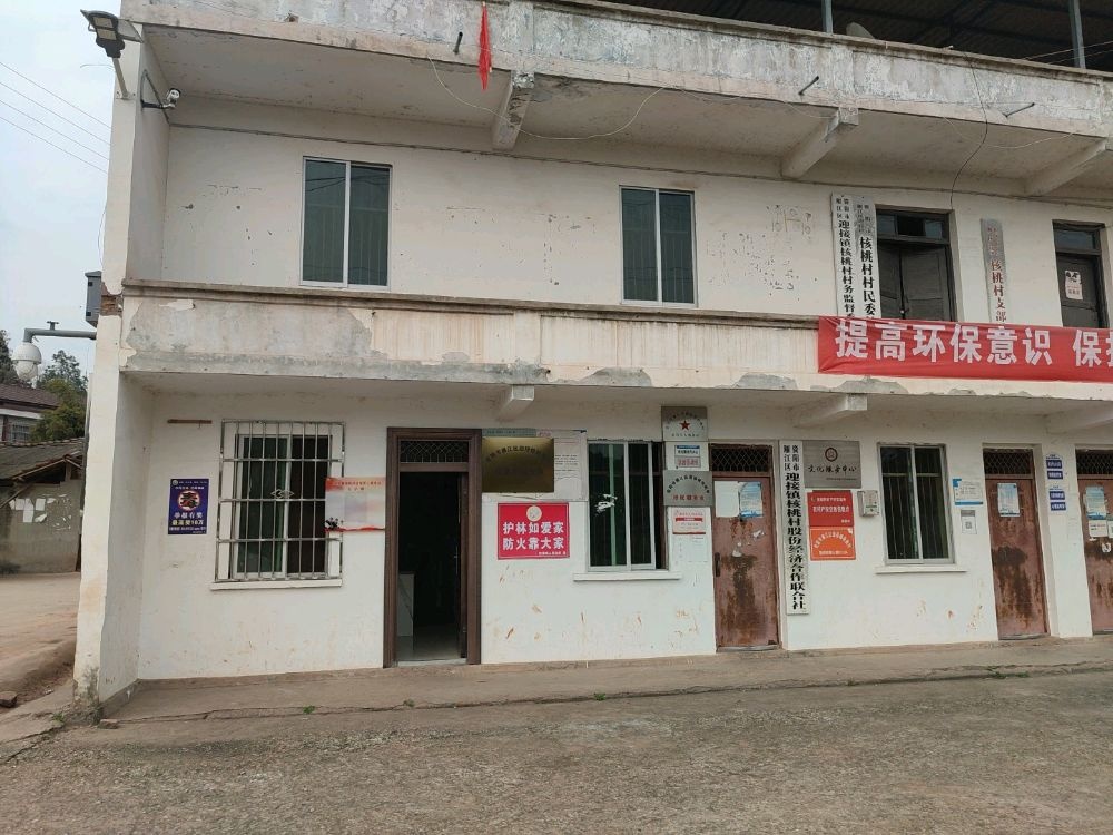 四川省资阳市雁江区迎接镇核桃村退役军人服务站