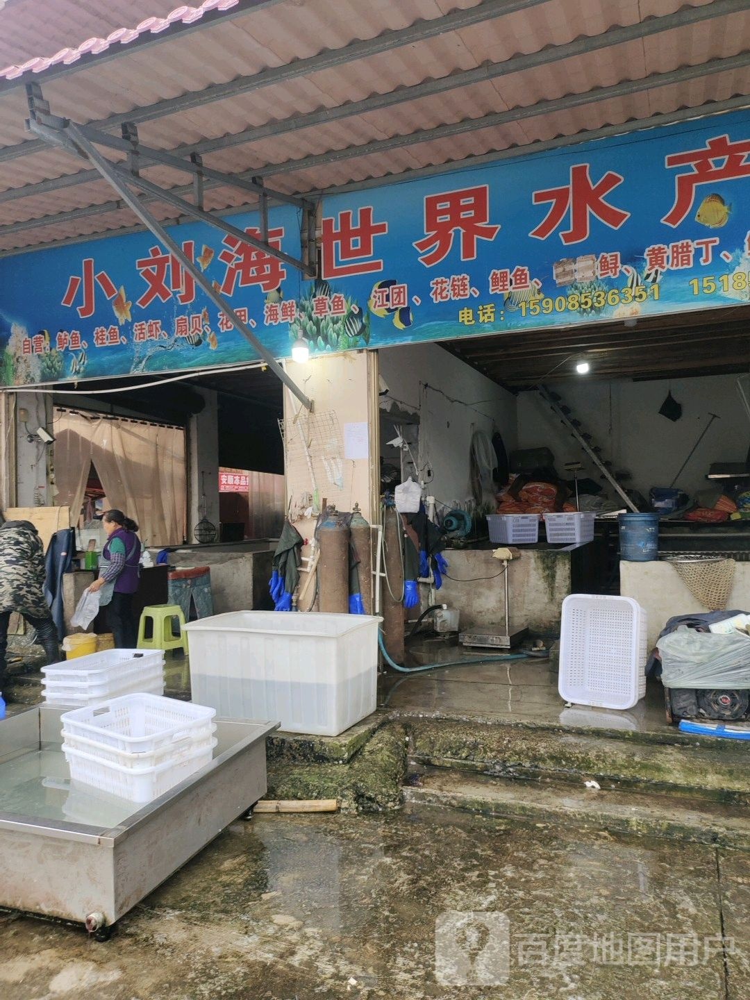 小刘海世界水产