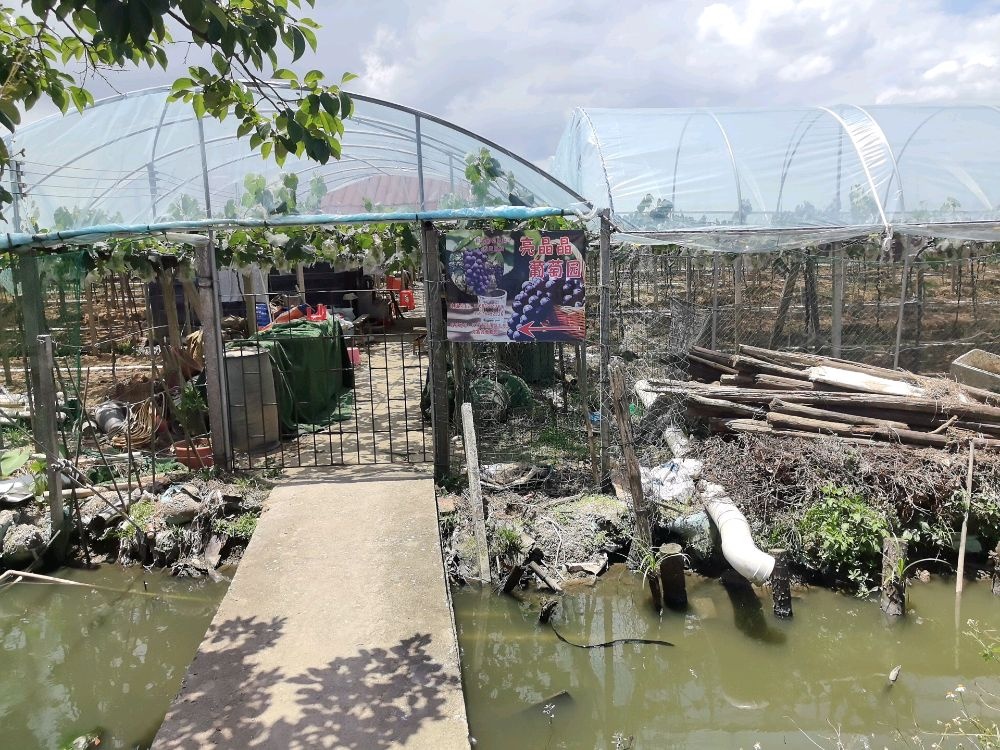 江海区向民泗丰里I6巷