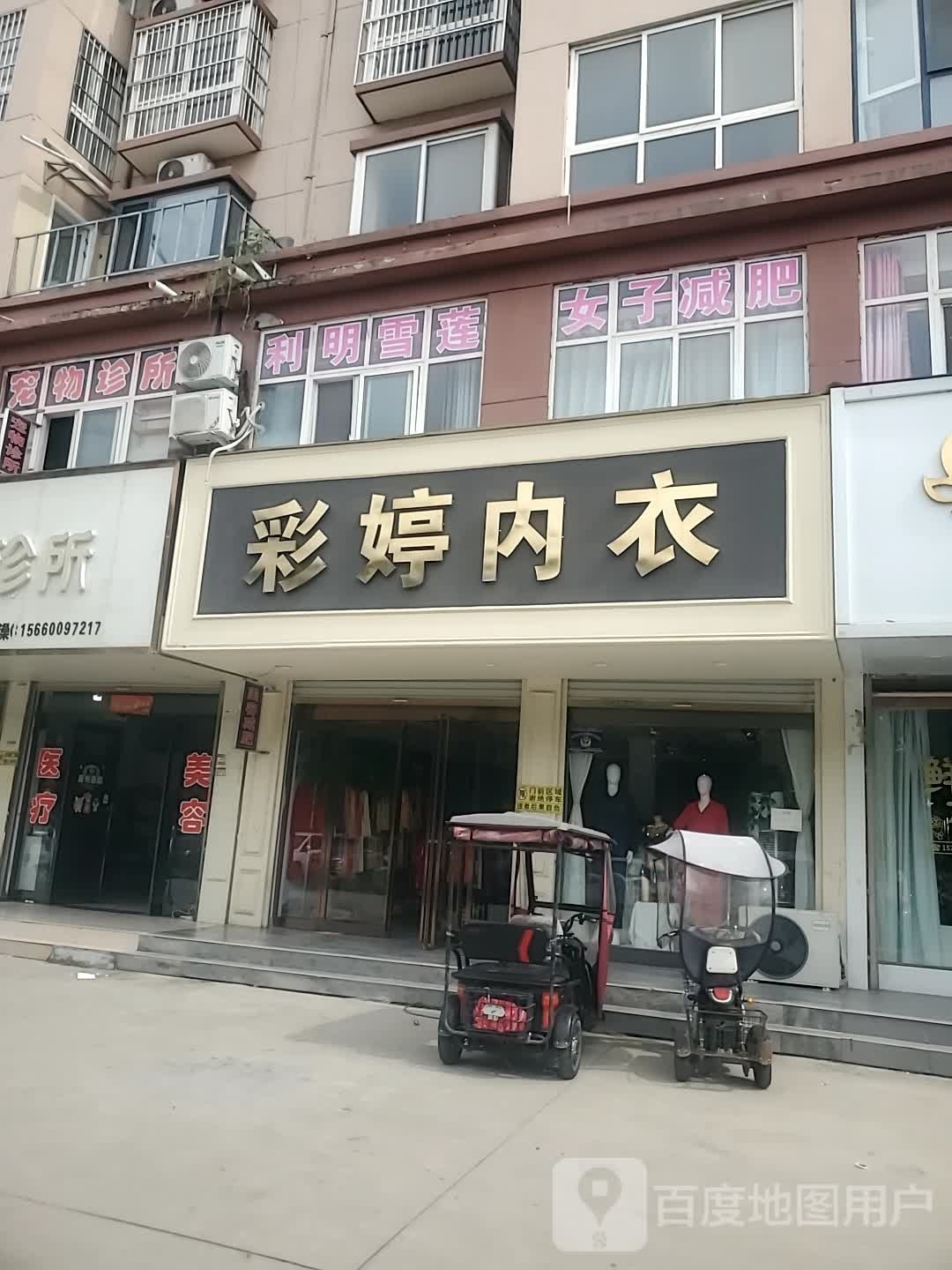 商水县彩婷内衣(公园路店)