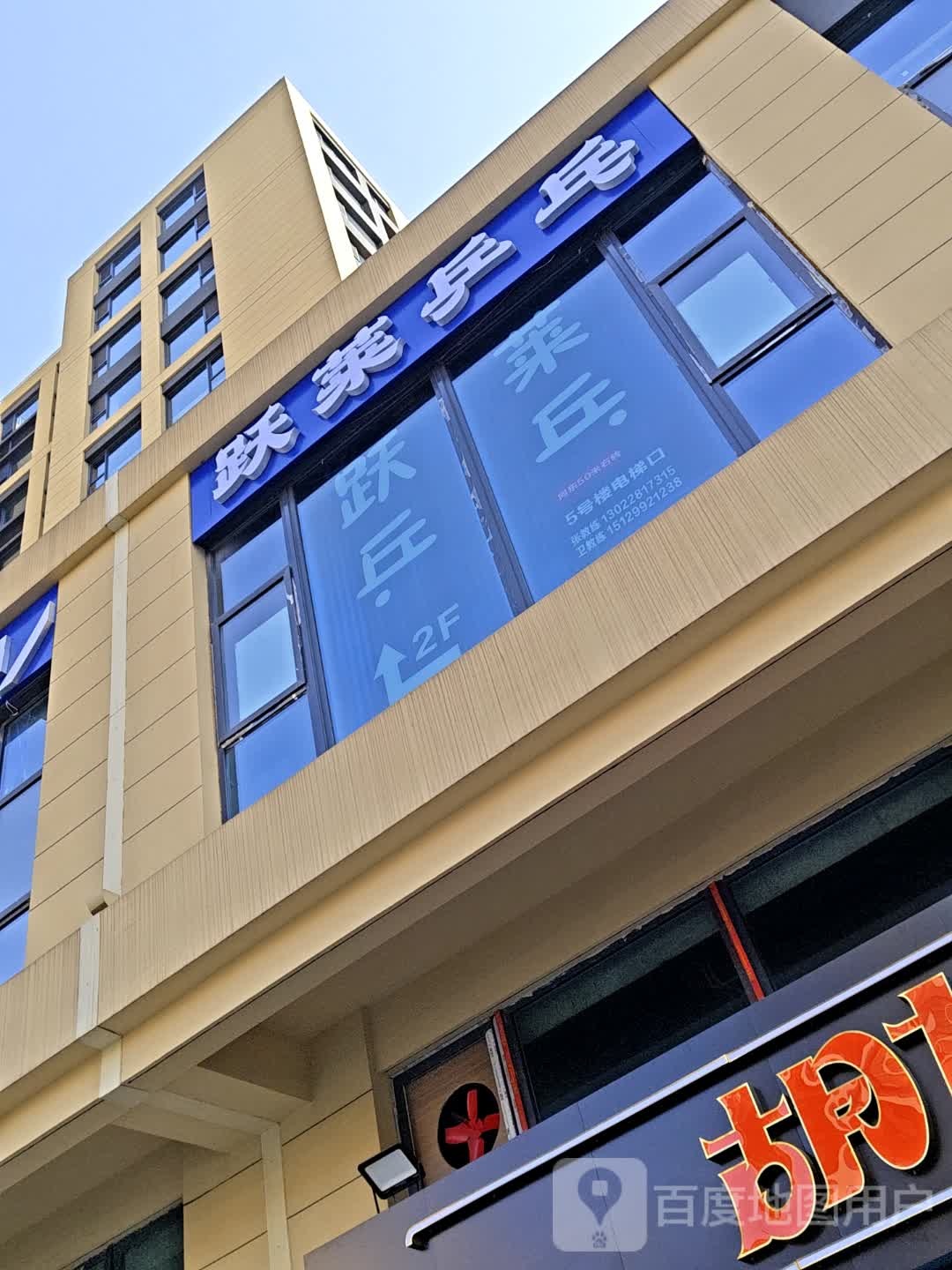 跃莱乒乓