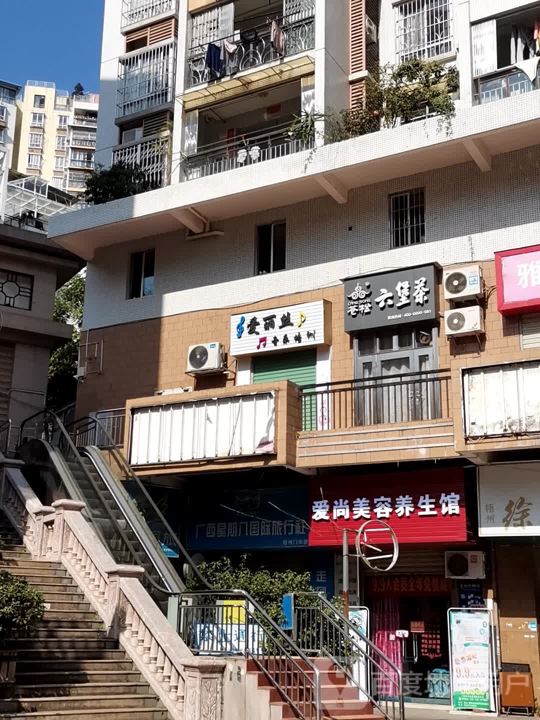 苍松六堡茶(城月·月桂花城店)