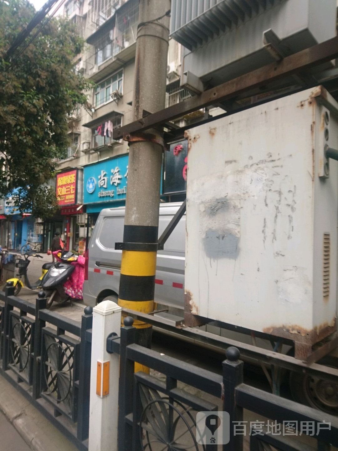 保康绿茶